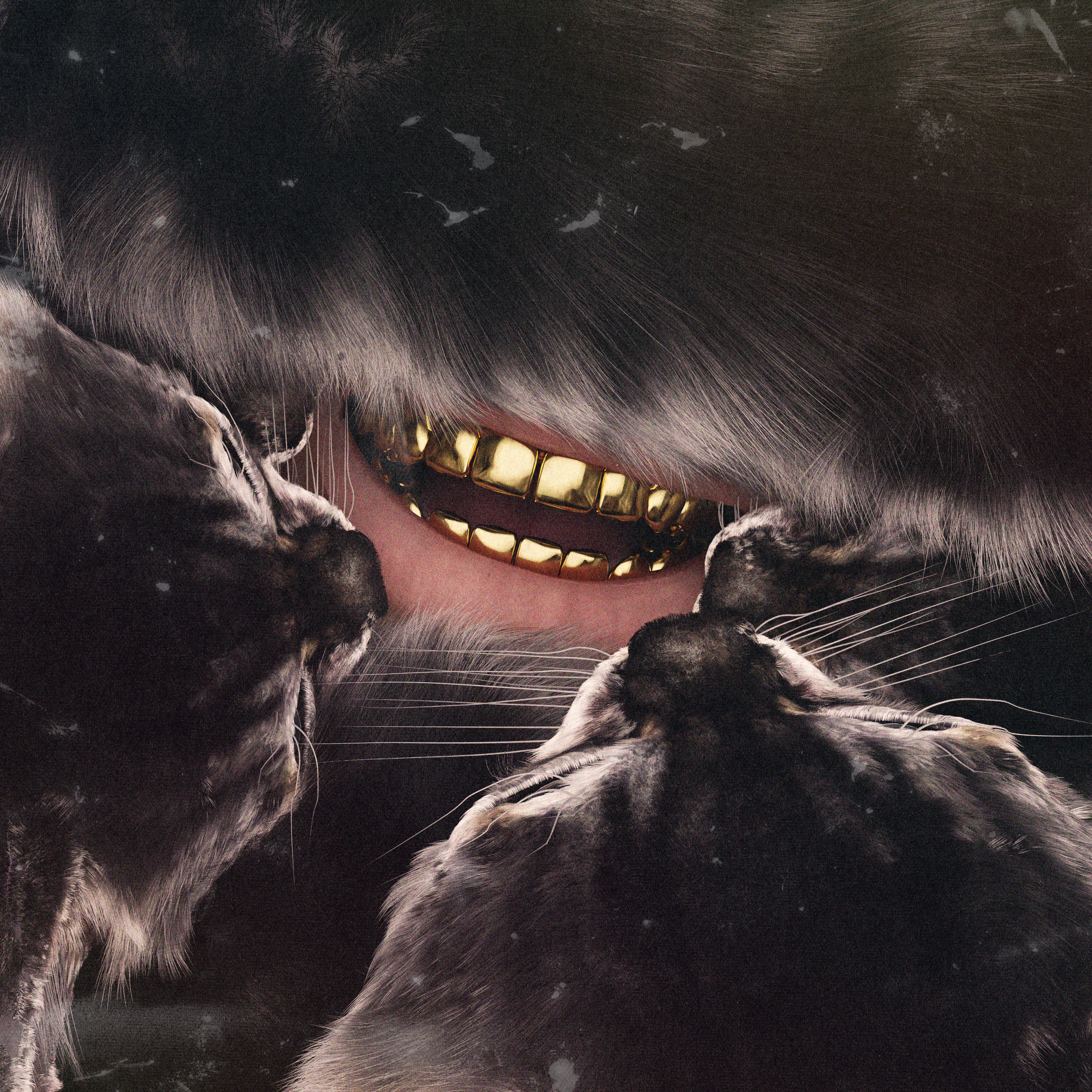 Pussy On My Lips artwork