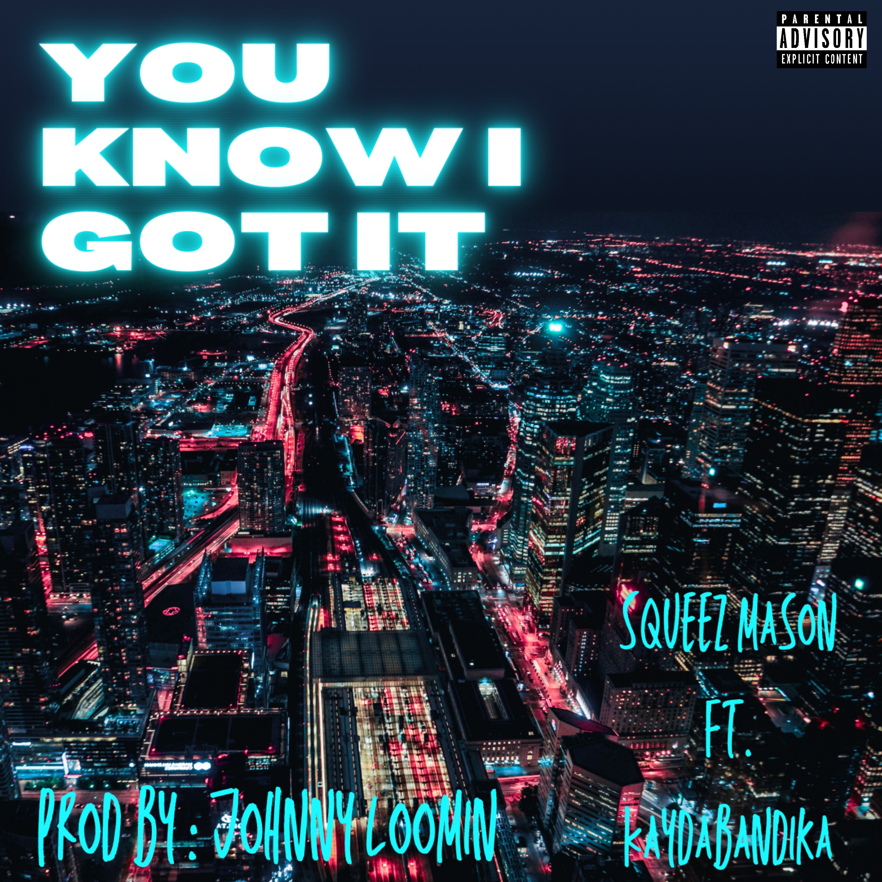 You Know I Got It artwork