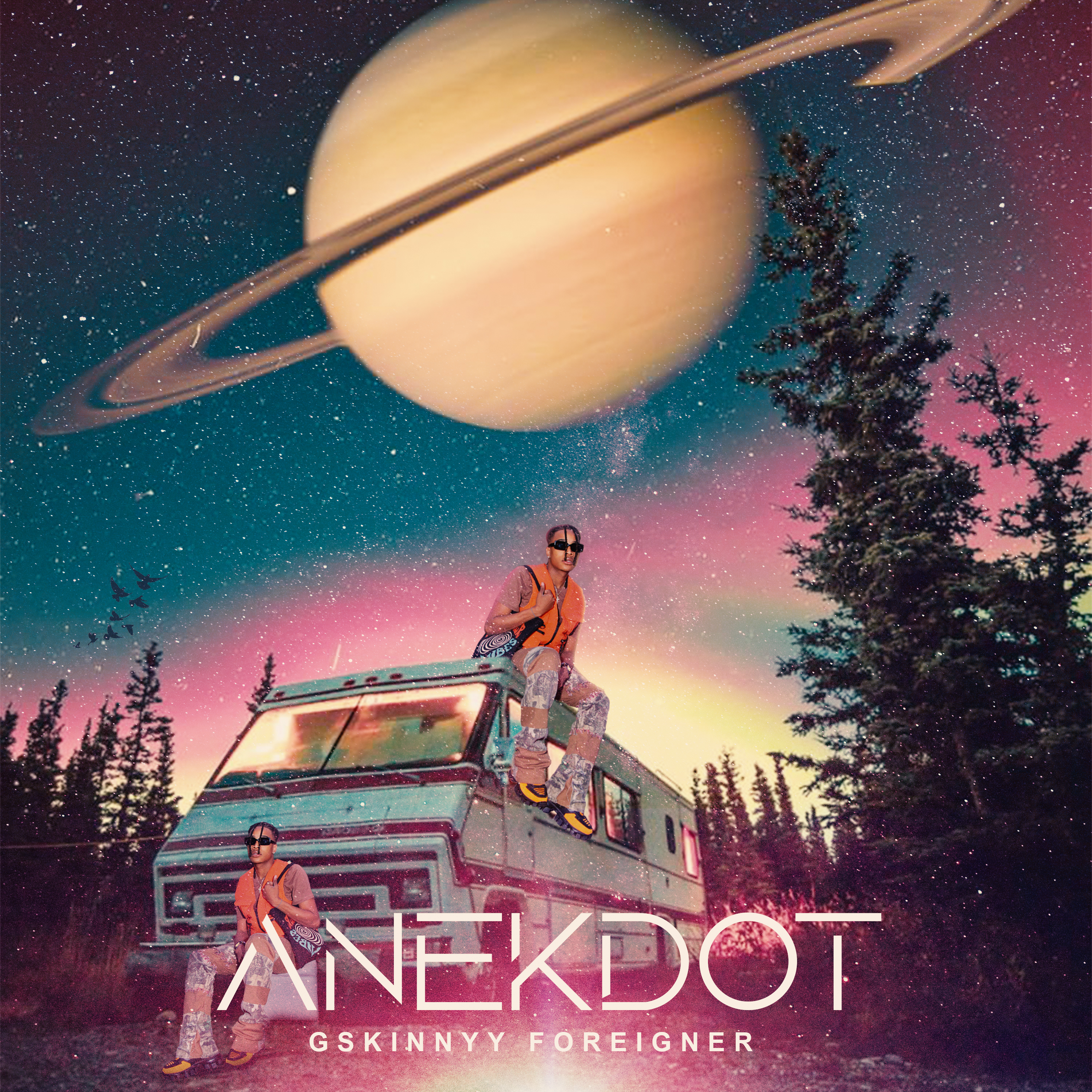 ANEKDOT artwork