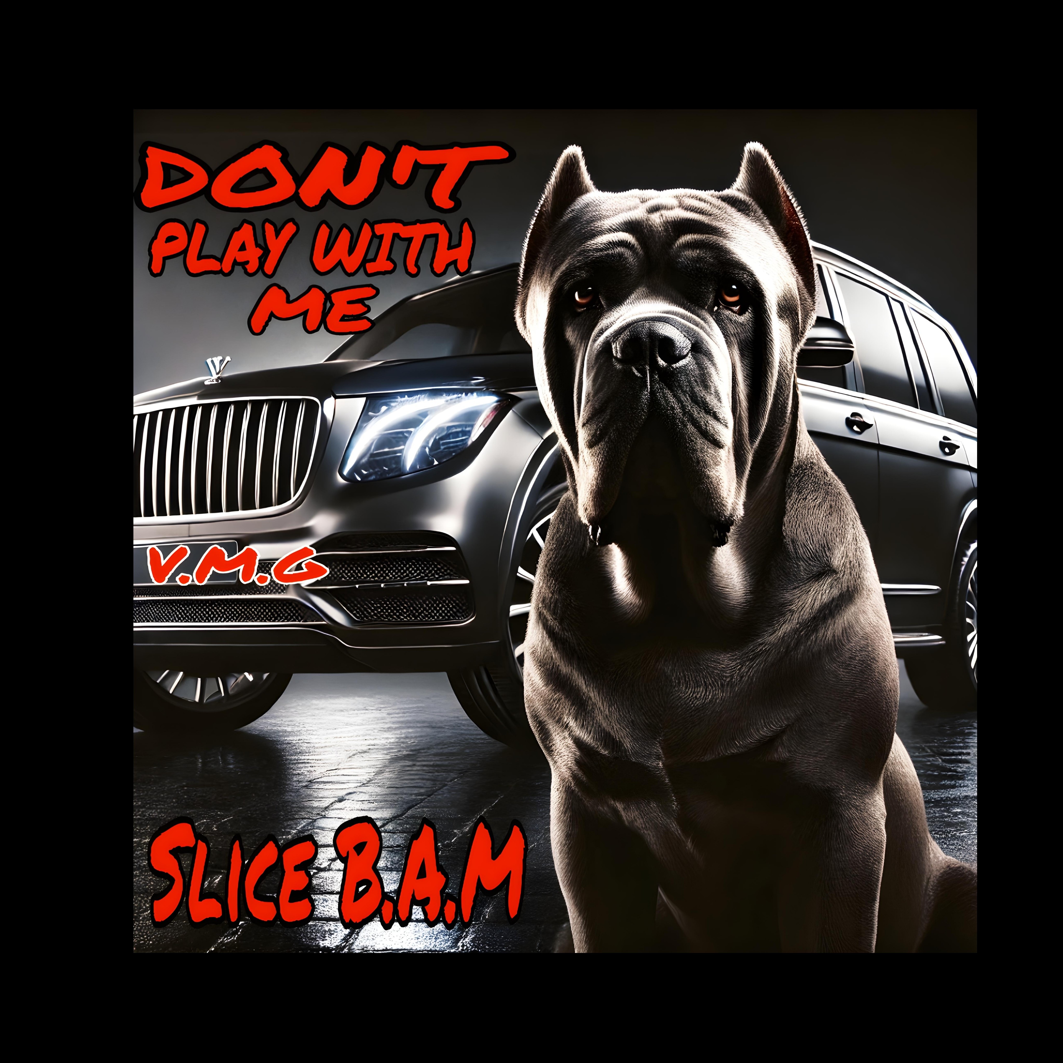 Don't Play With Me artwork