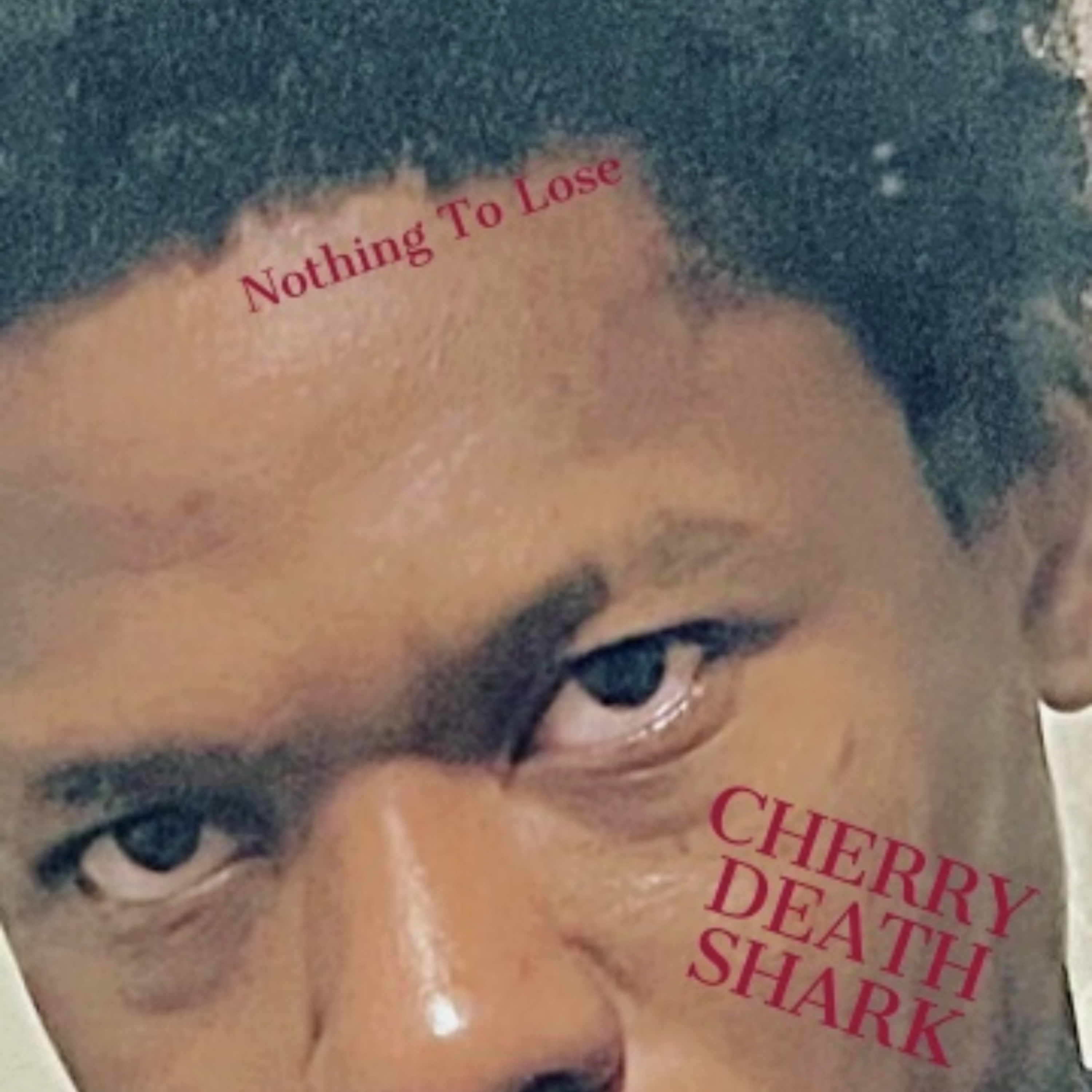 Nothing To Lose: The Story Of Hollywood TK artwork