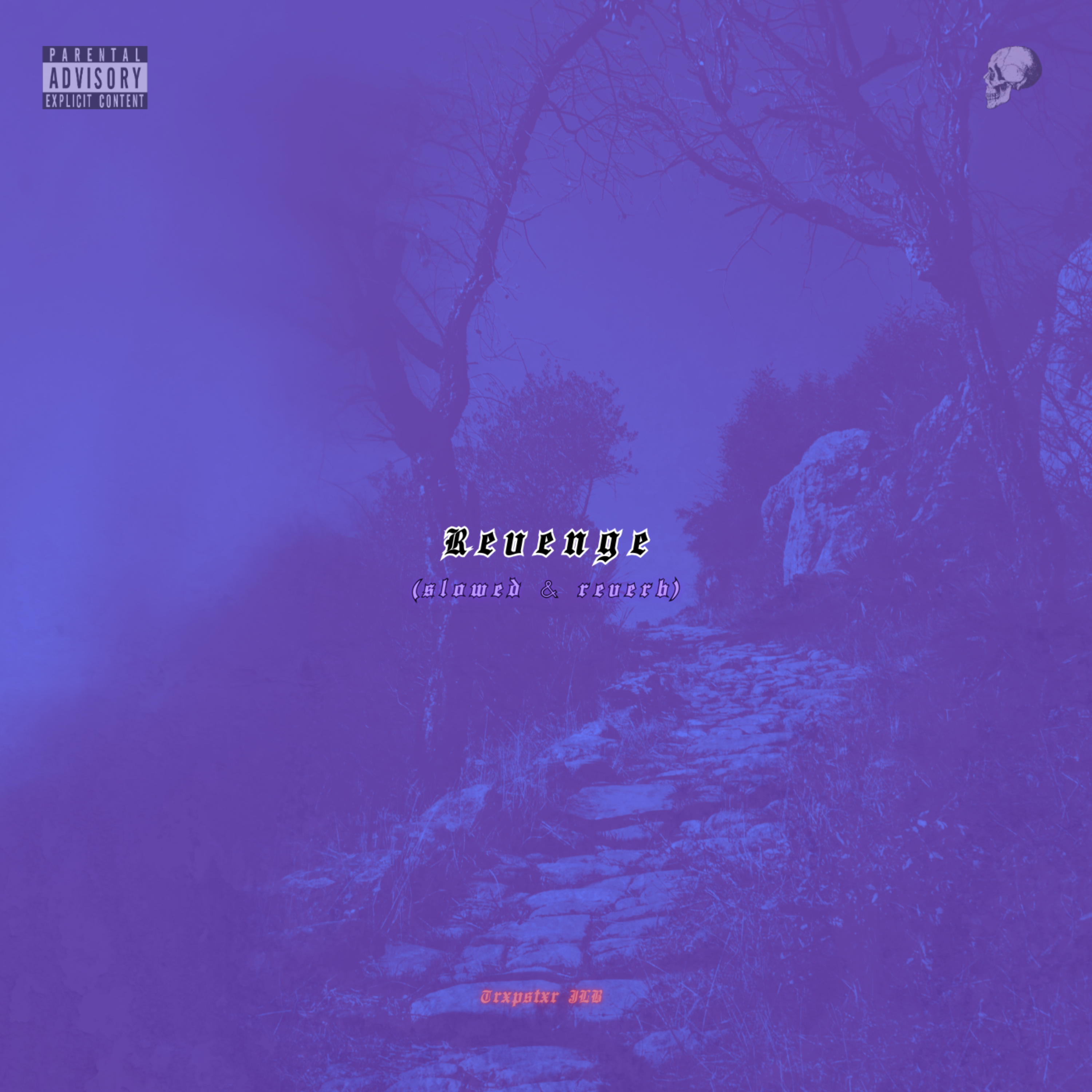 Revenge (Slowed & Reverb) artwork