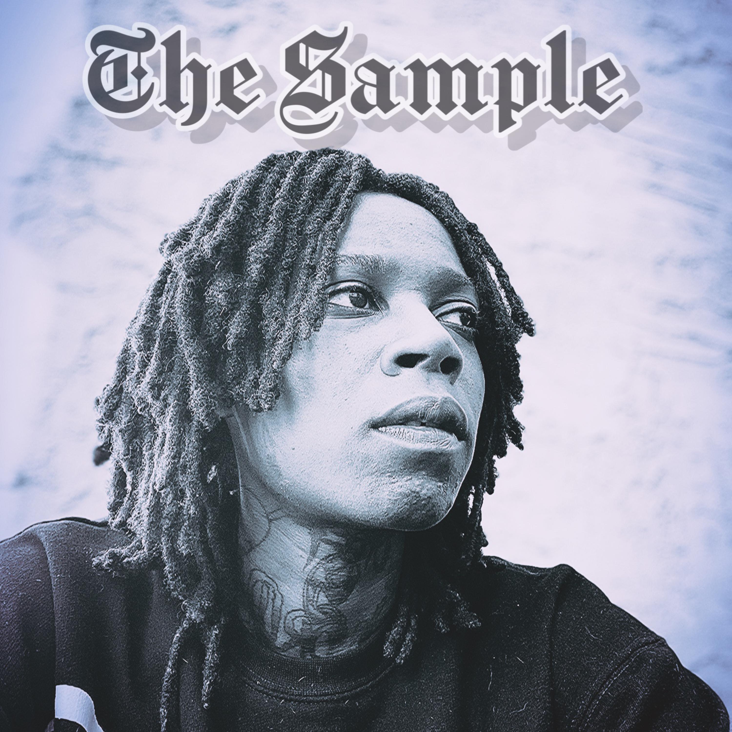 The Sample by TheRealDotDollaz cover art