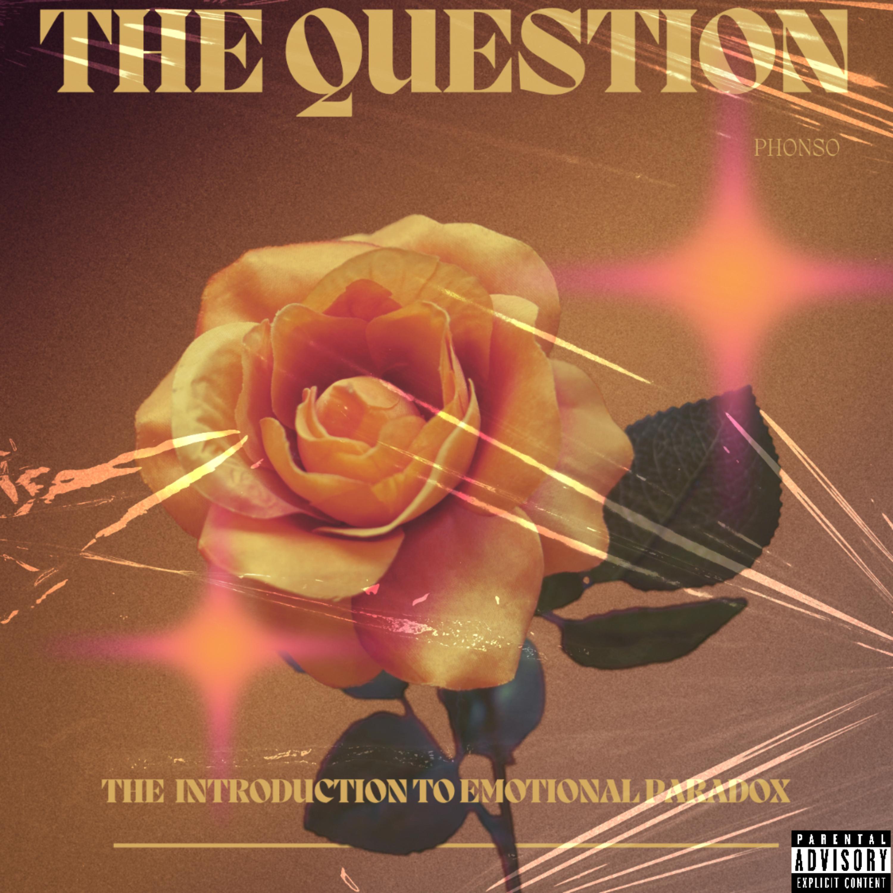 THE QUESTION! (Intro to Emotional Paradox) artwork