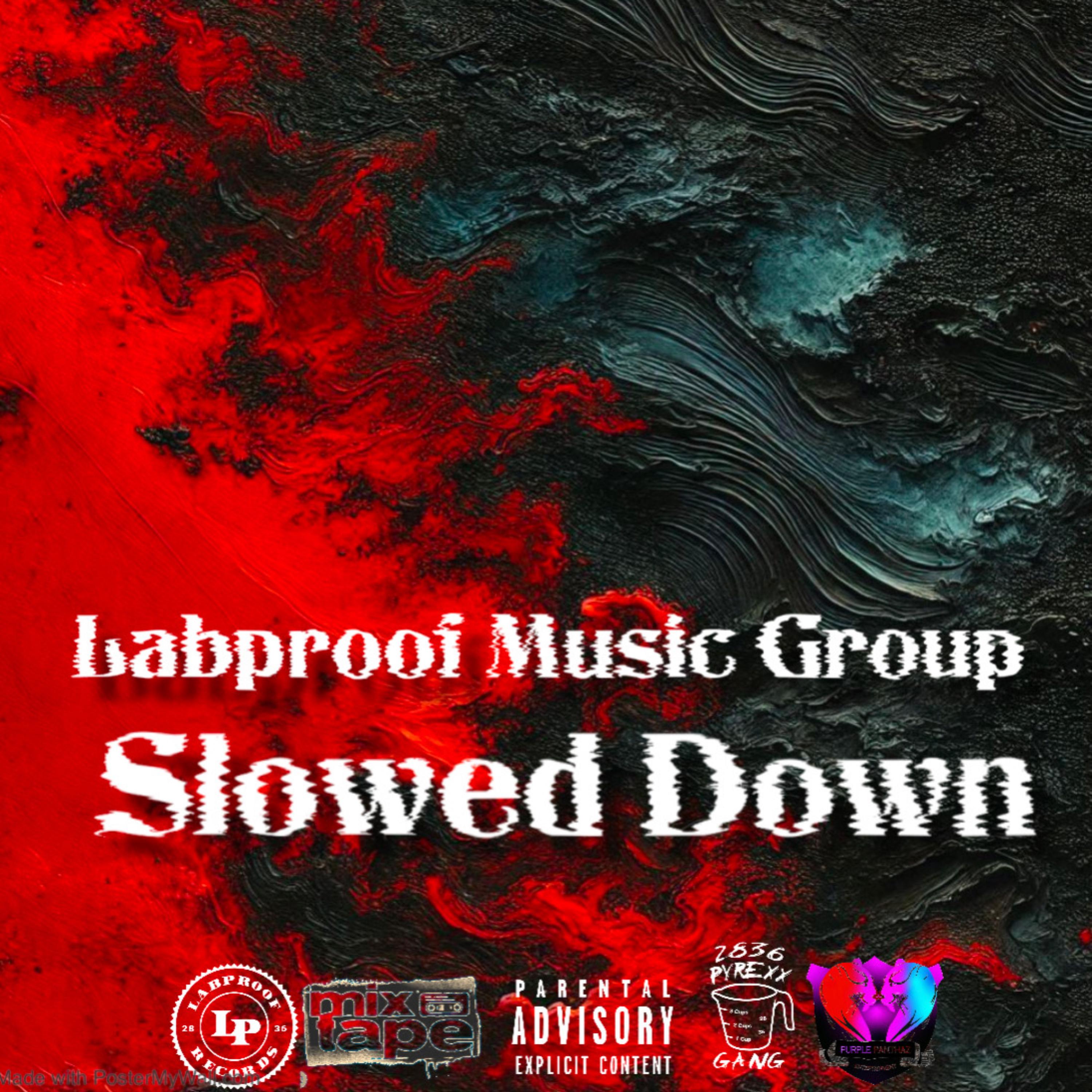 Slowed Down by Sam Squee cover art