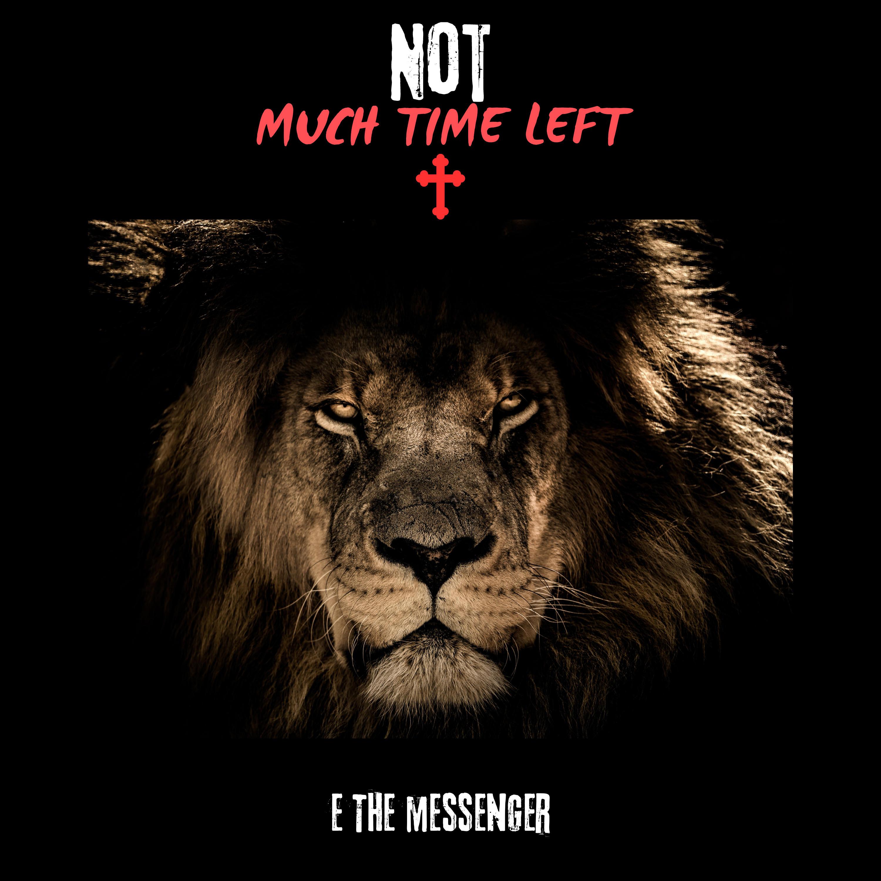 Not Much Time Left artwork