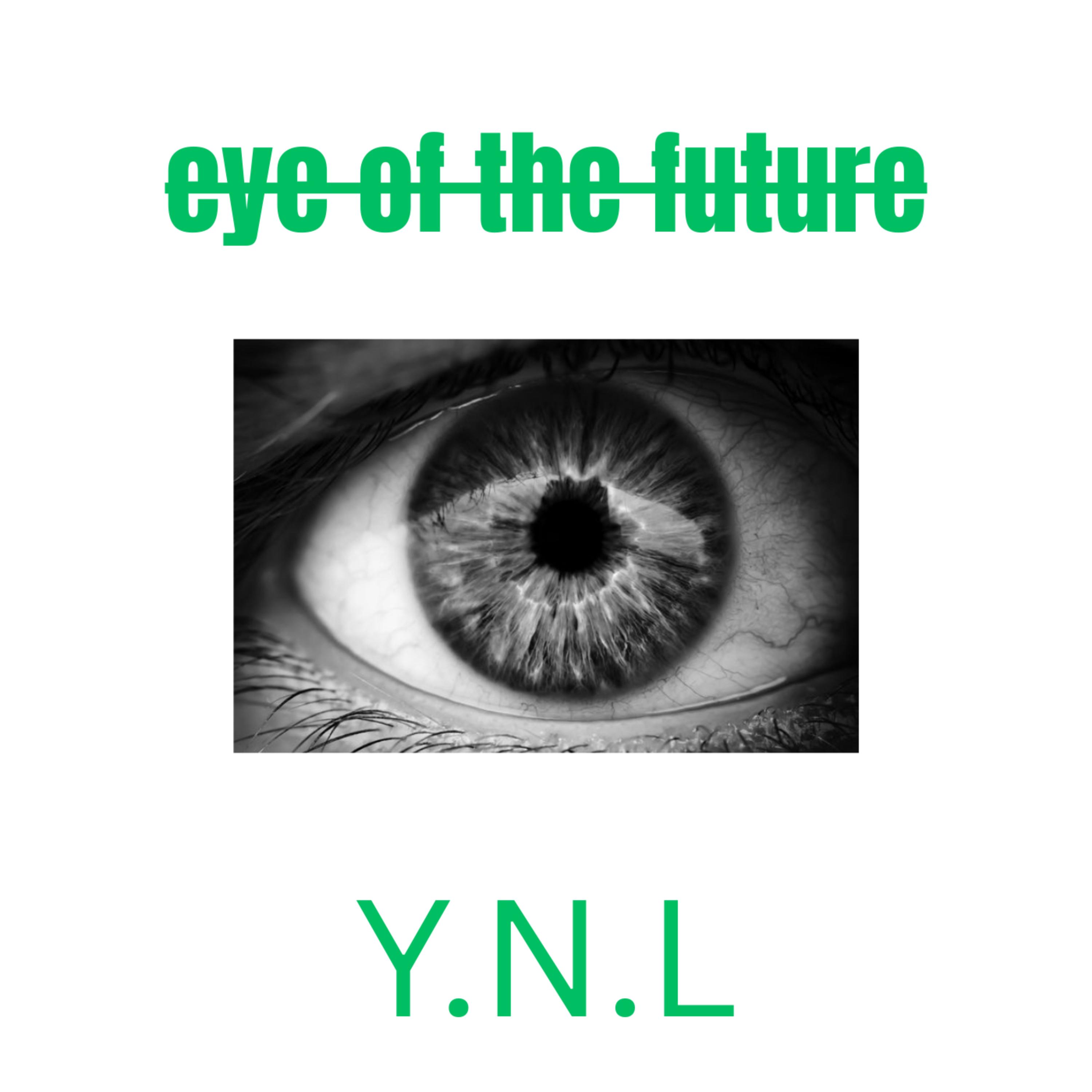 Y.N.L artwork