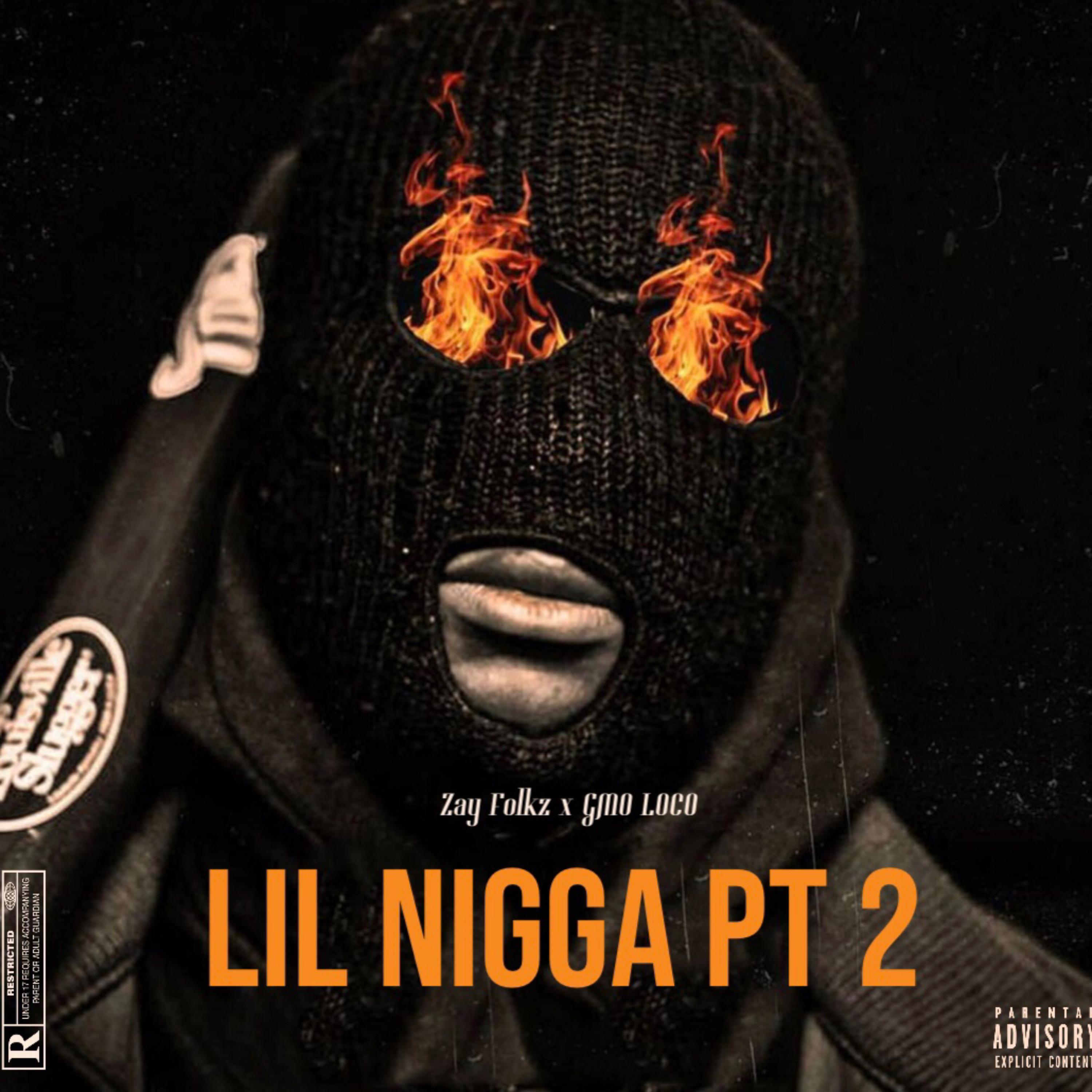 Lil Nigga Pt 2 artwork