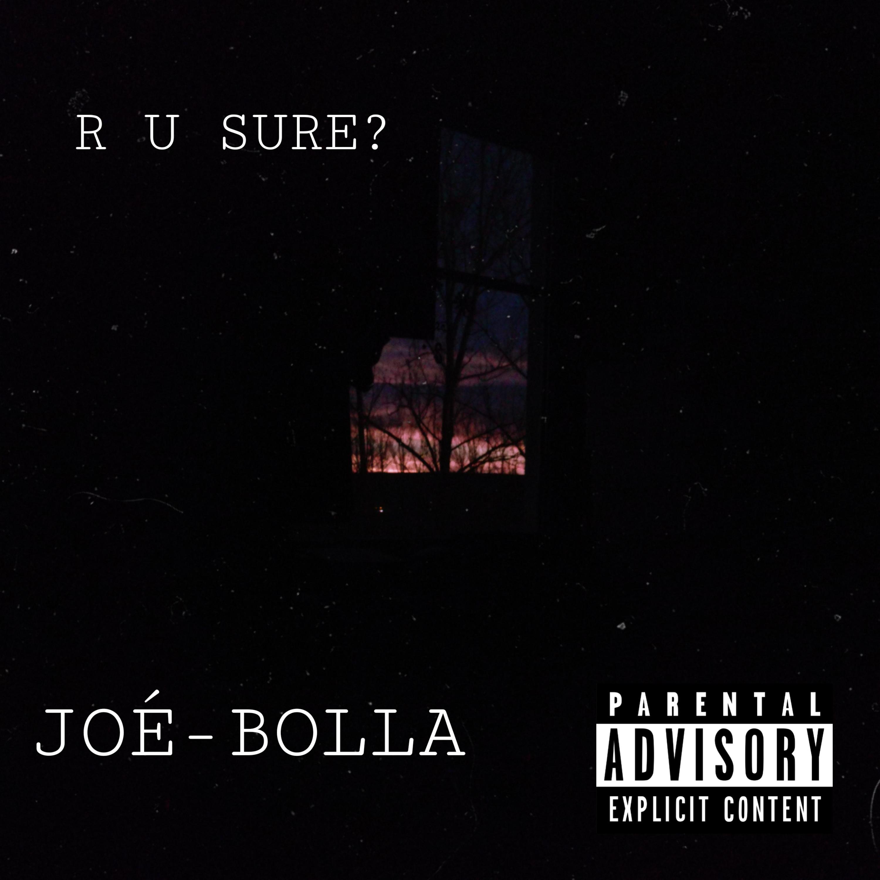 R U SURE?  artwork