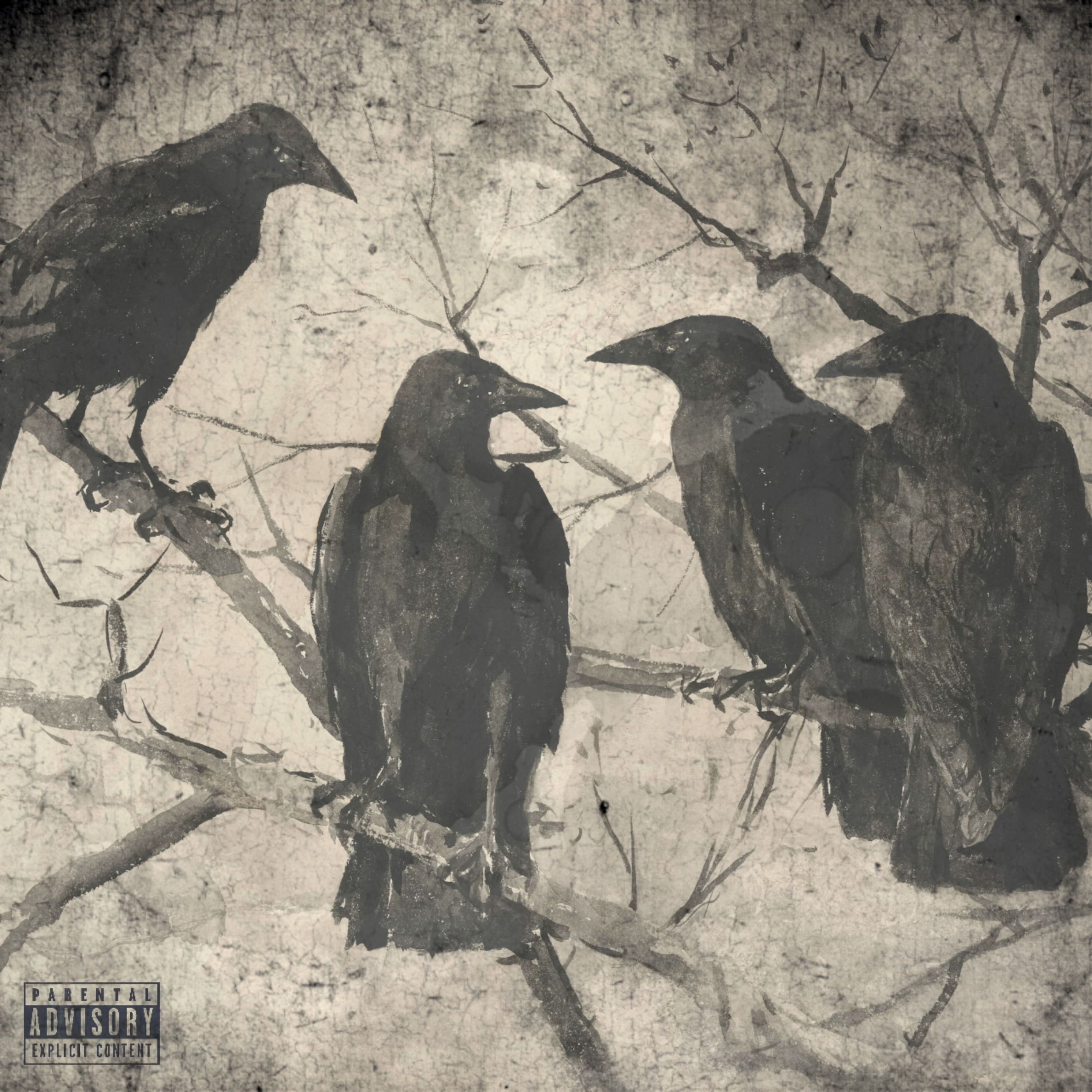 BIRDS artwork
