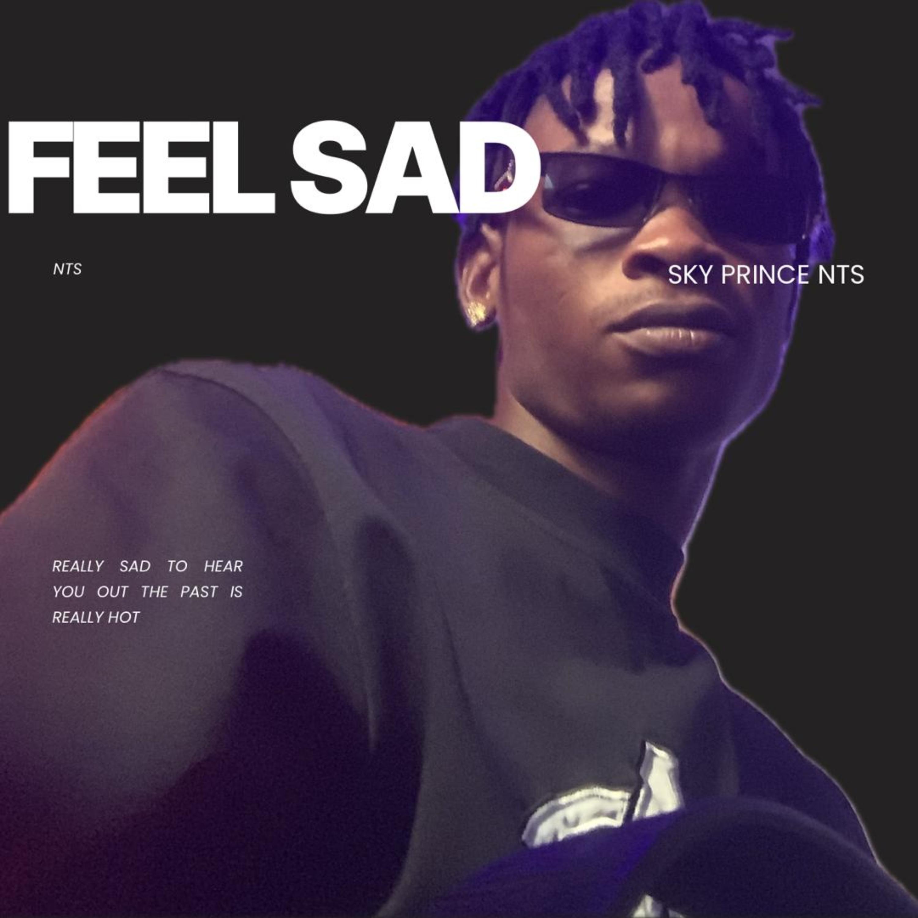 Feel Sad artwork