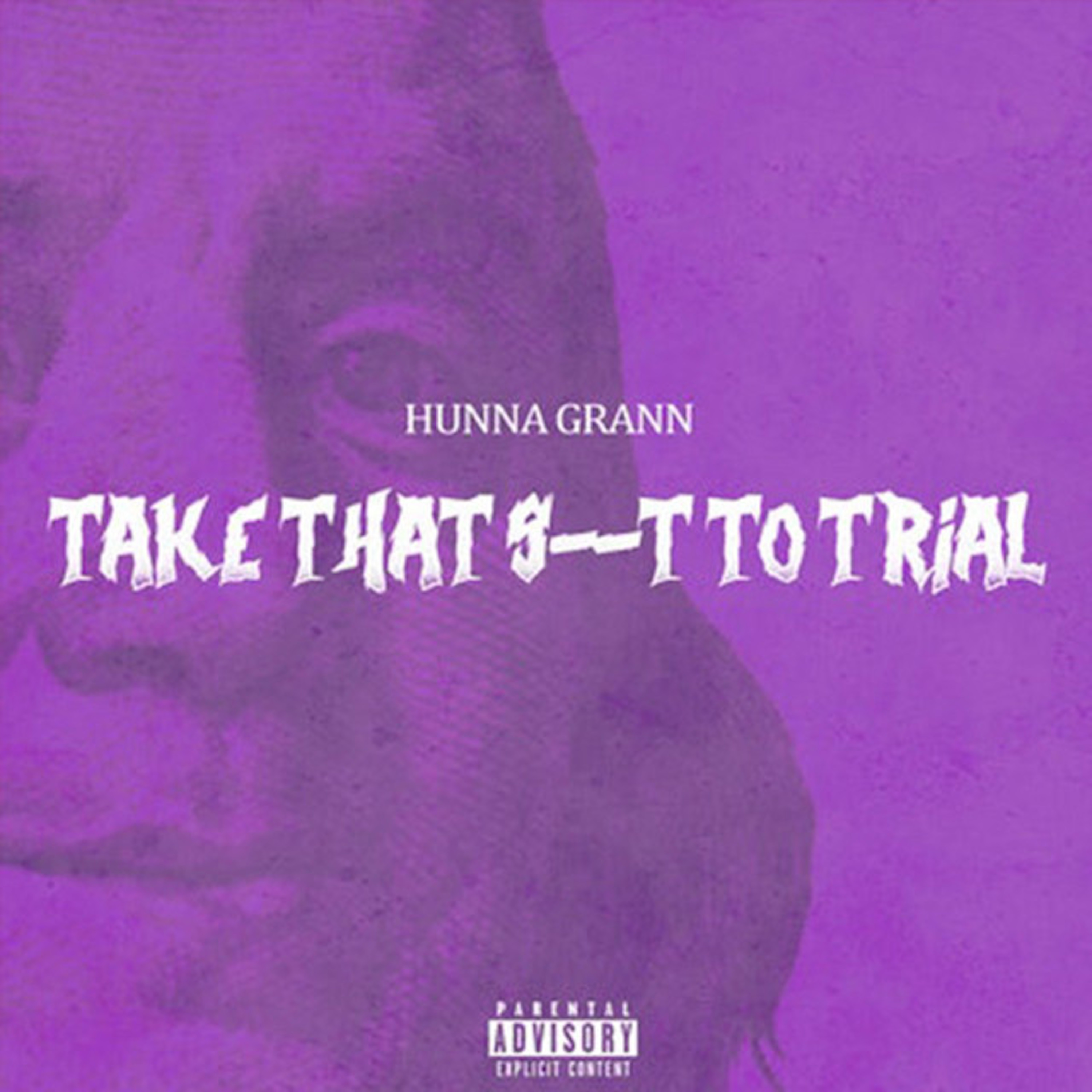 Take That Shit To Trial artwork