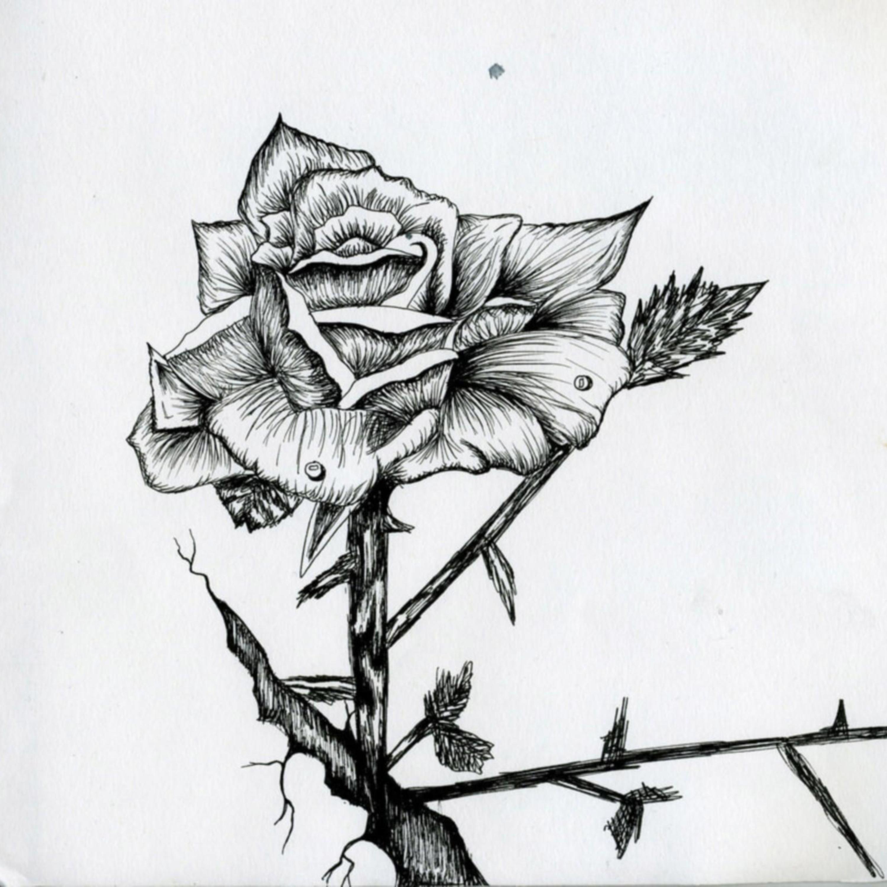 Konkrete Rose artwork