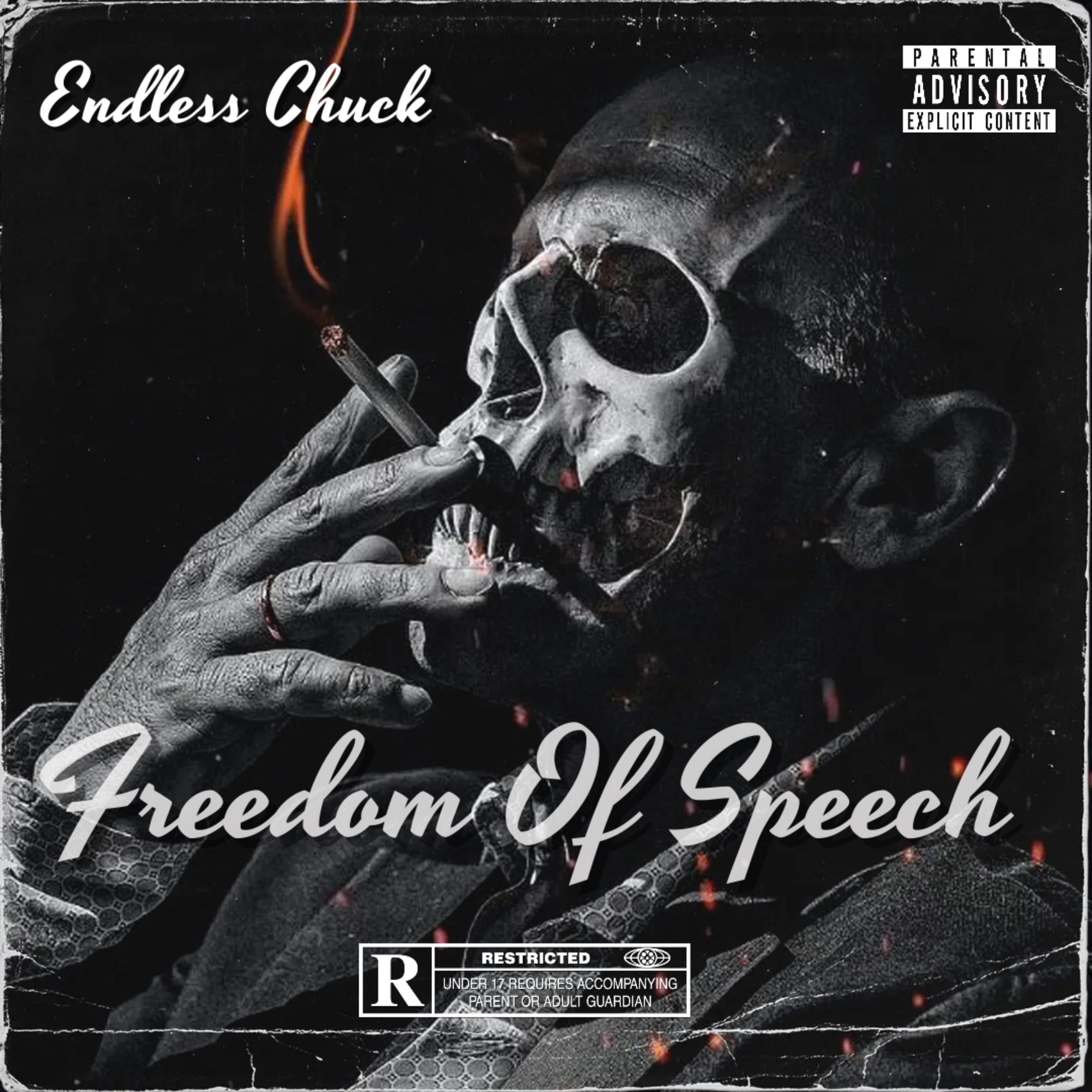 Freedom Of Speech artwork