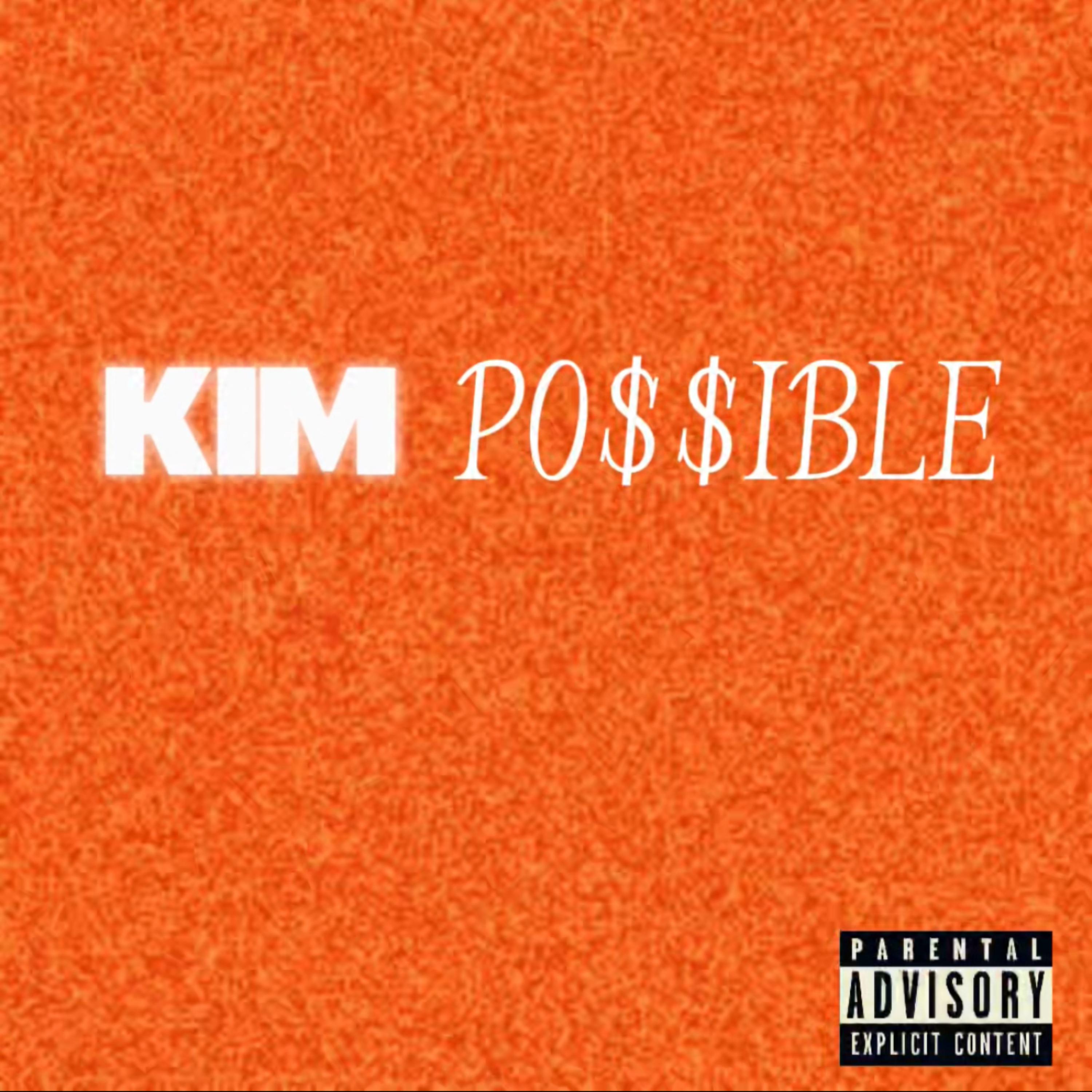 KIM POSSIBLE artwork