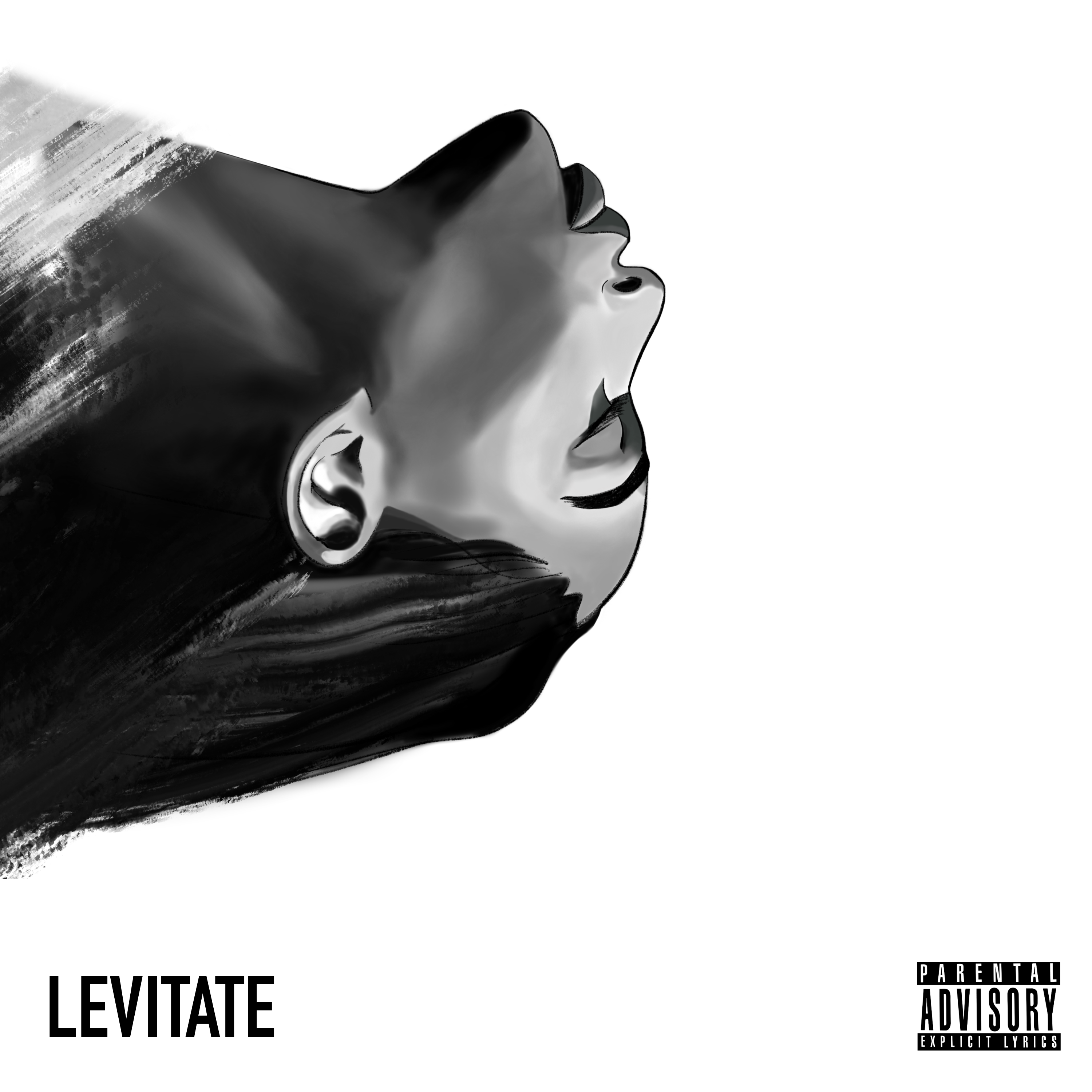 Levitate artwork