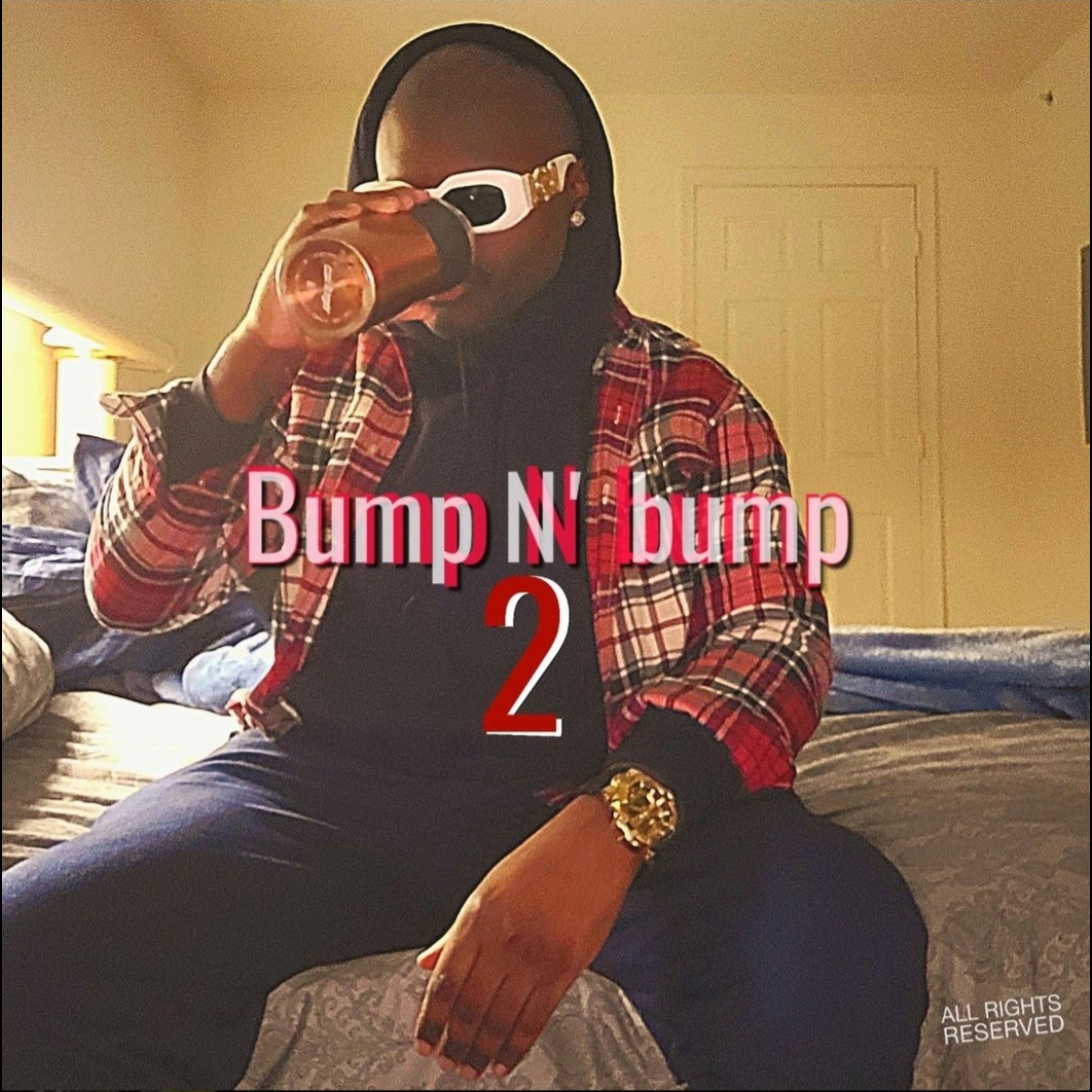 Bump N'  Bump Dos artwork