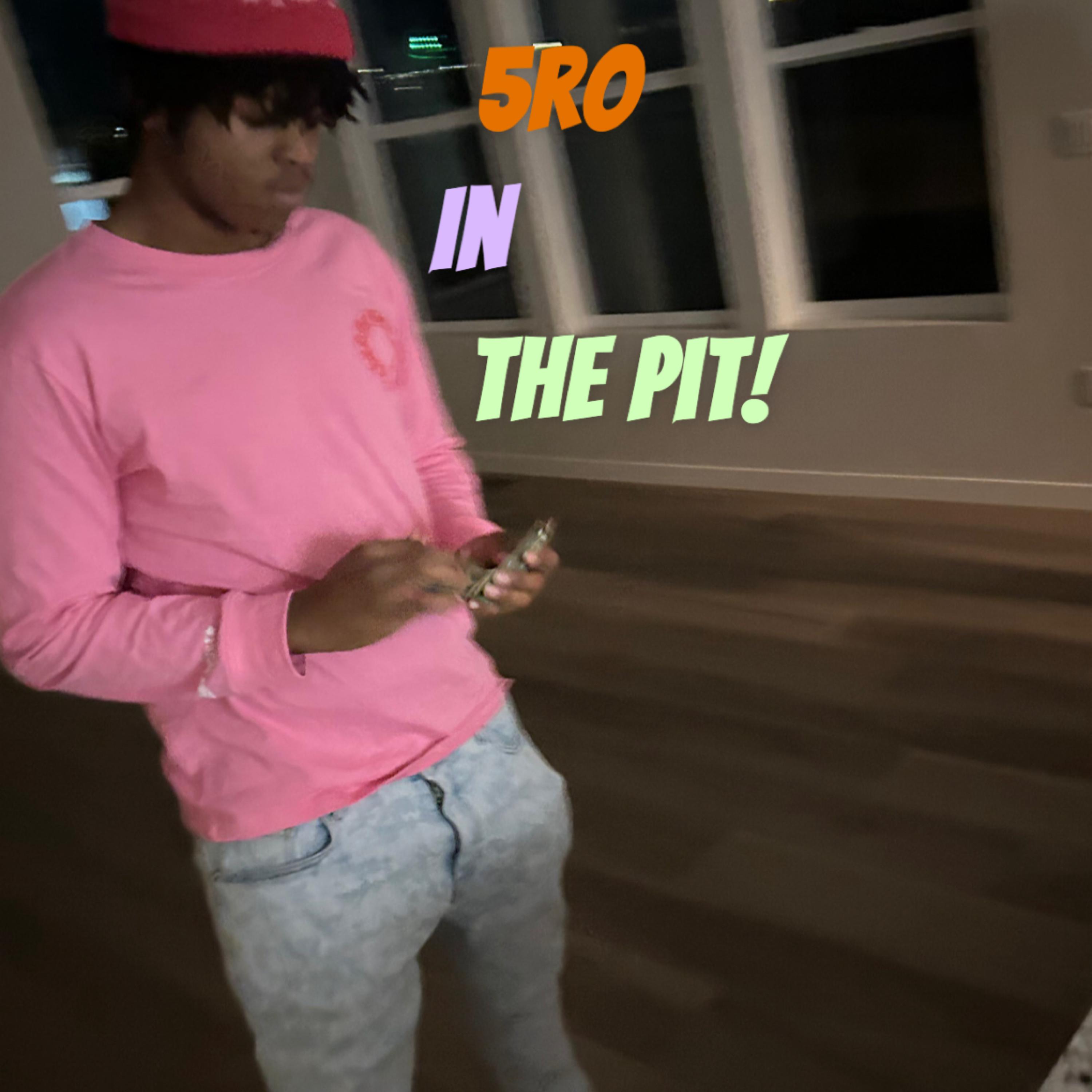 5Ro In The Pit! artwork