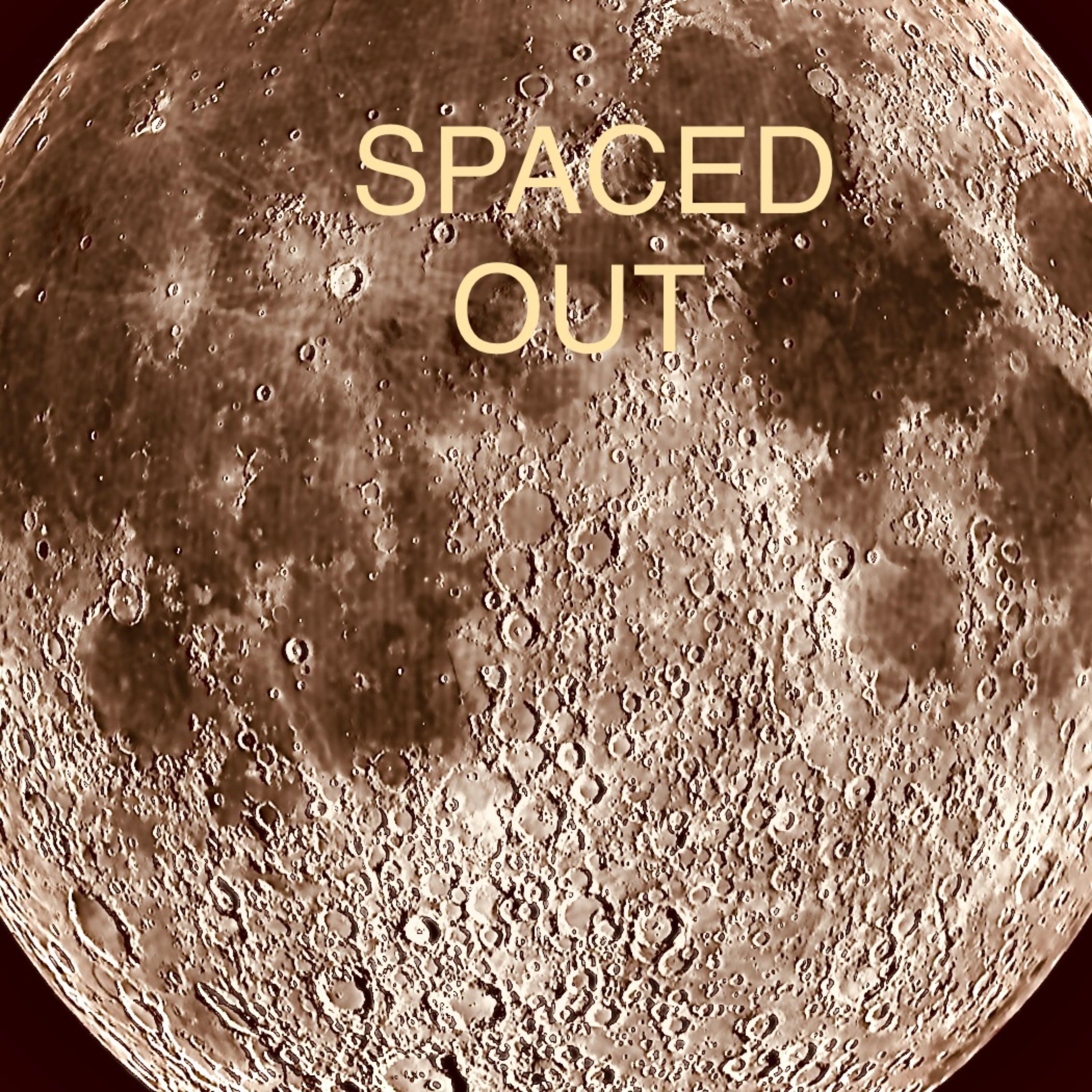 SPACED OUT by Capo The Ape cover art