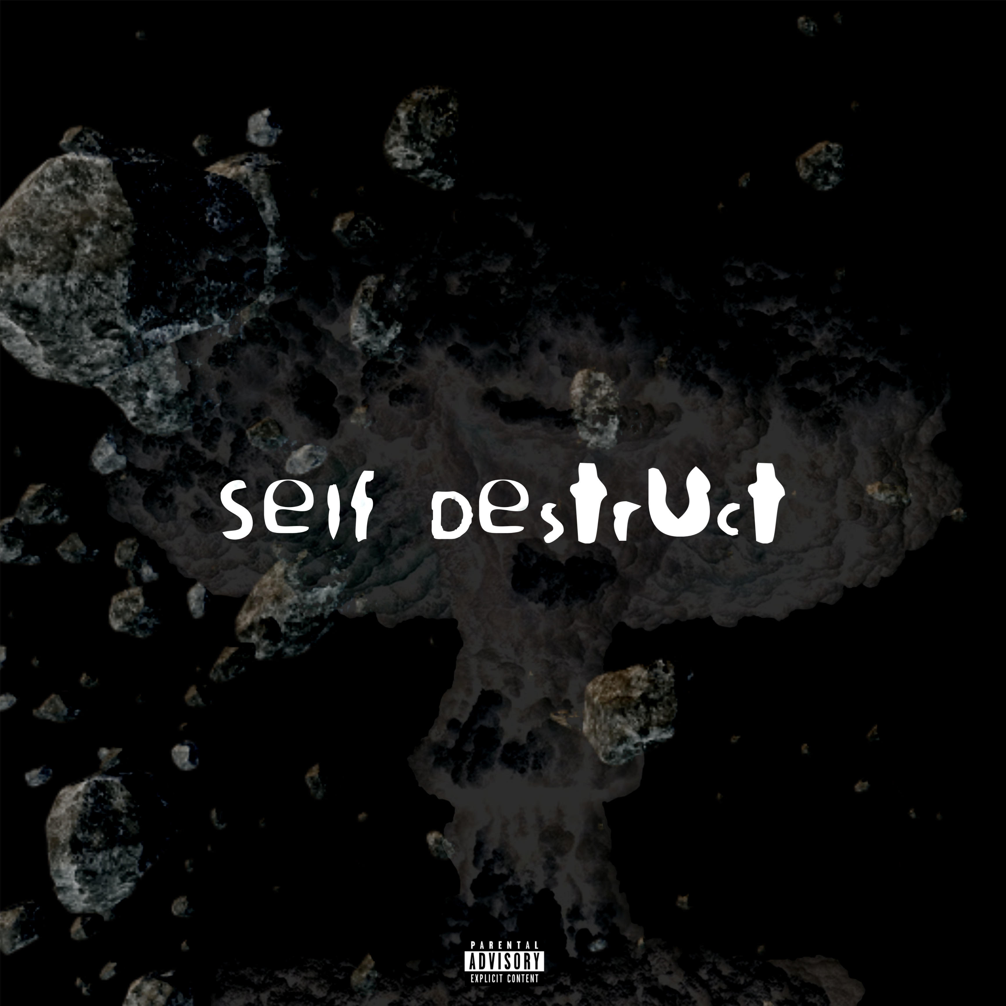 Self Destruct artwork