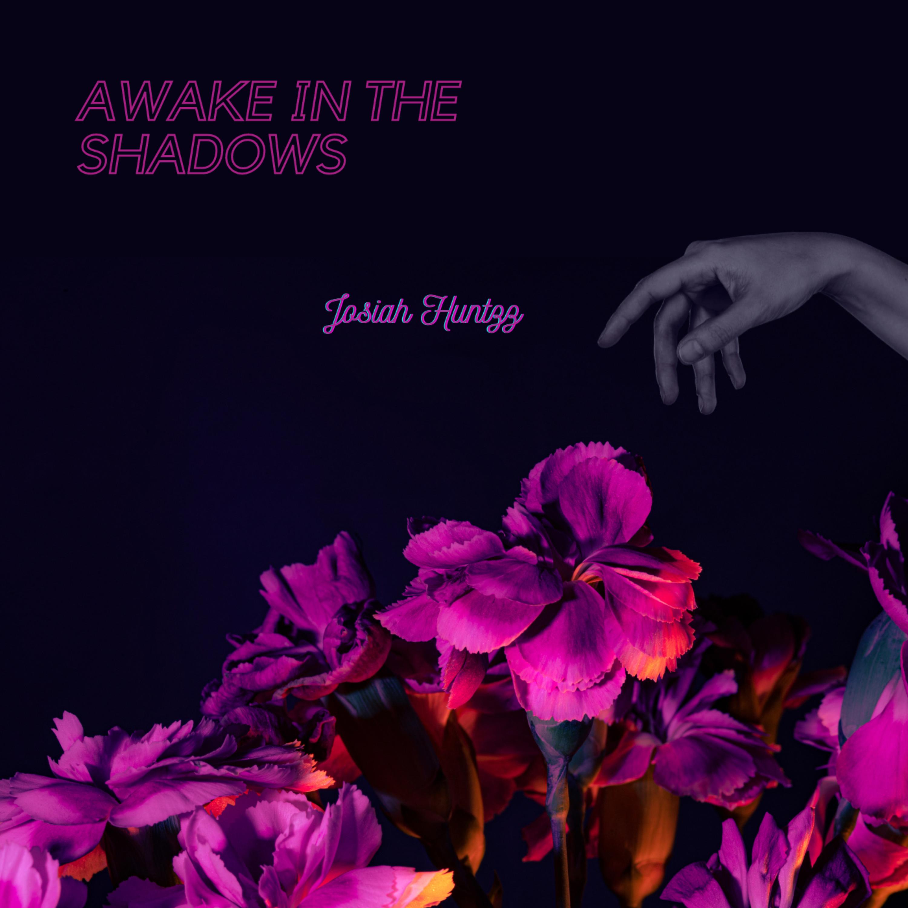 Awake In The Shadows artwork