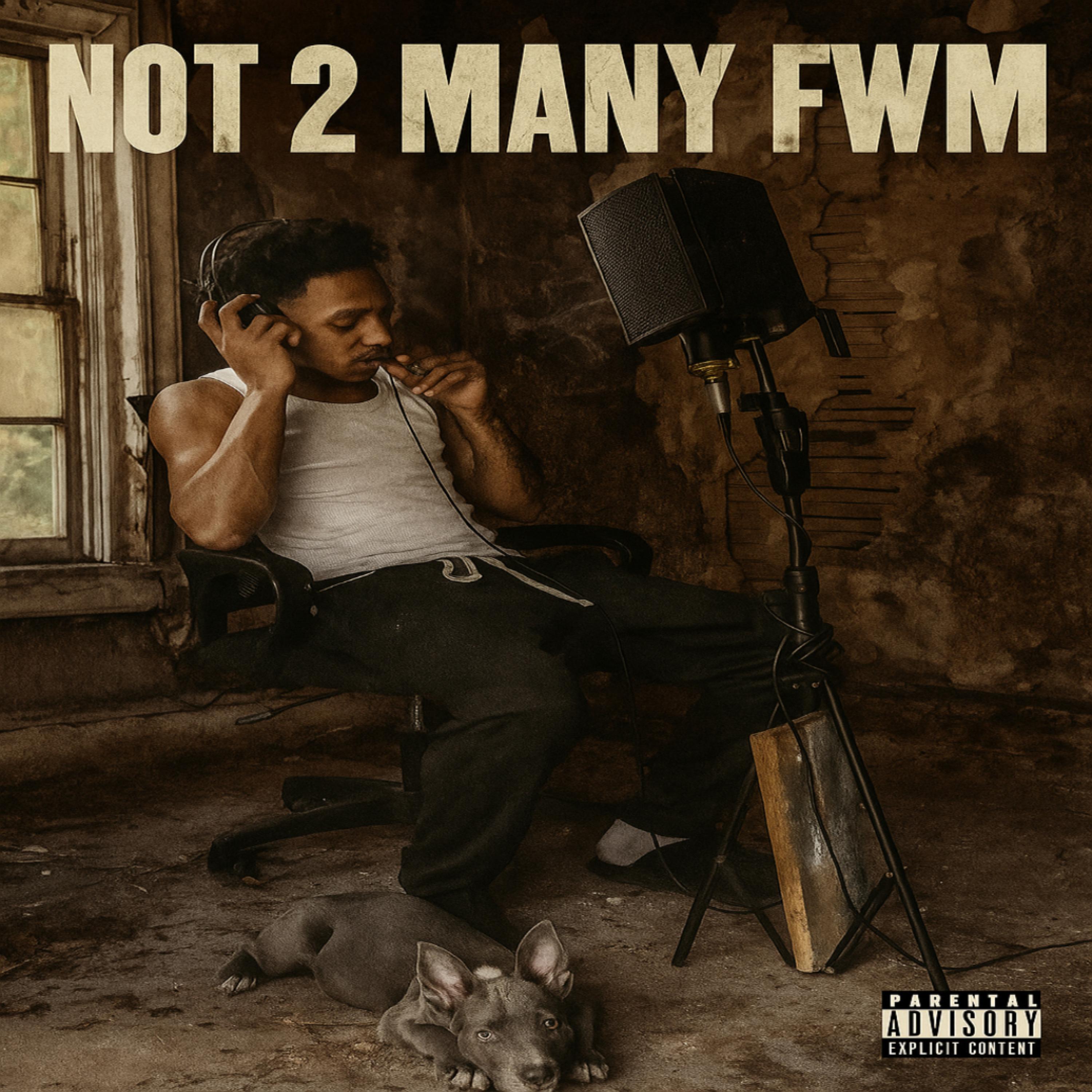 Not 2 Many Fwm artwork