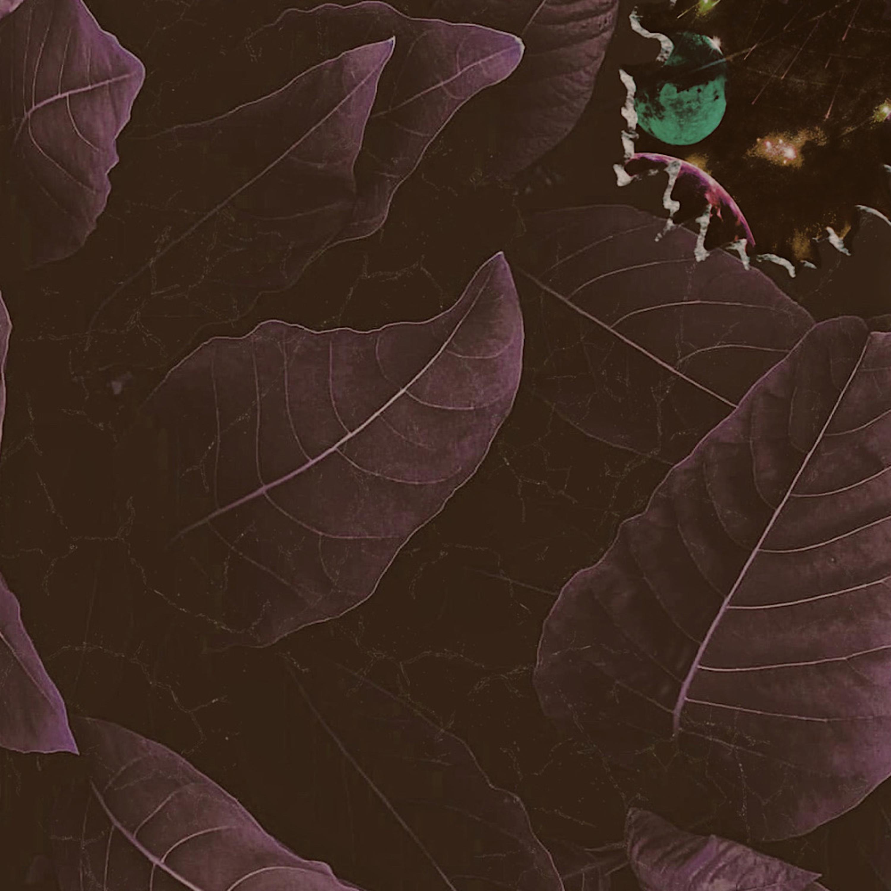 XOHOWITISXO artwork