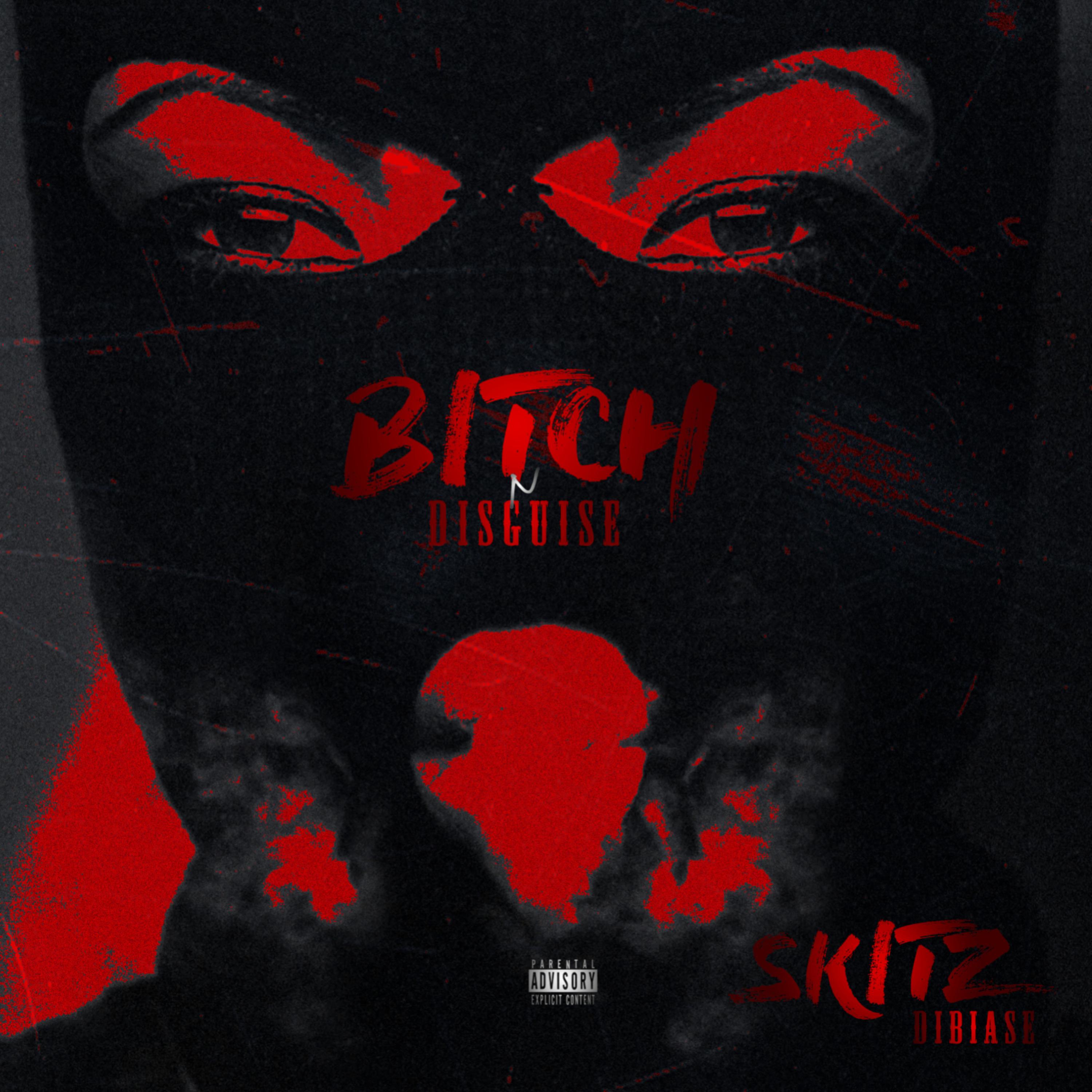 Bitch N Disguise artwork