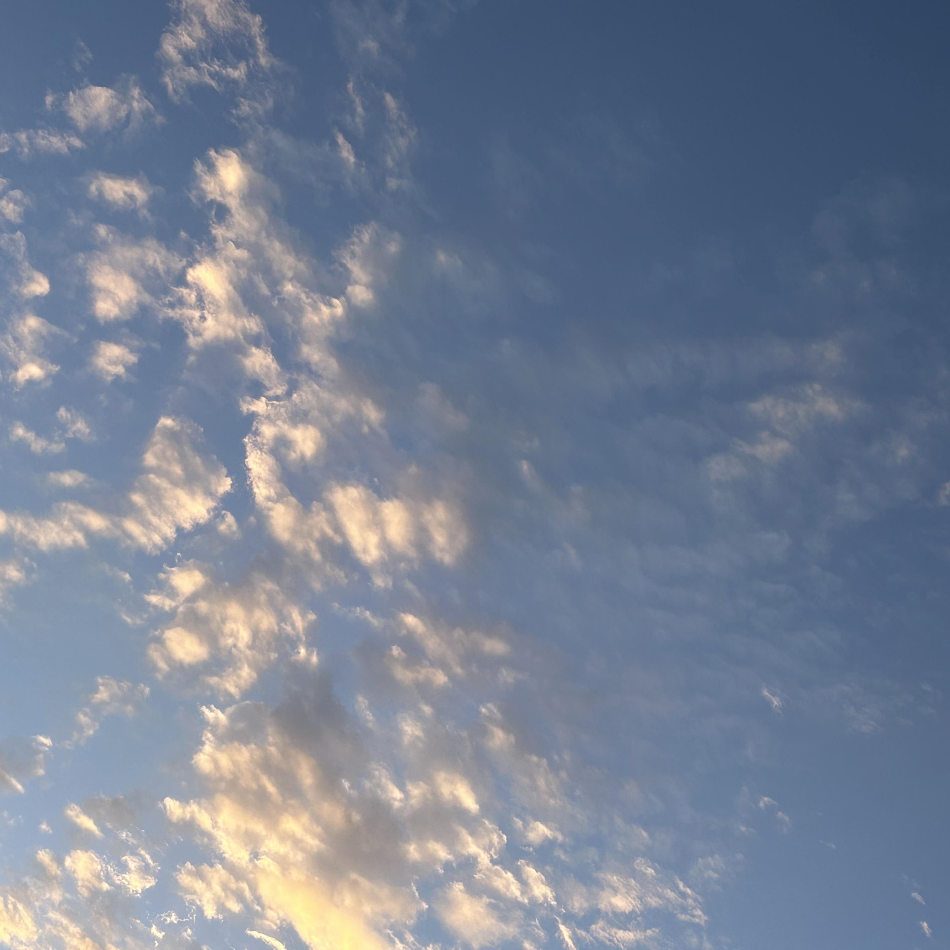 LET ME IN artwork