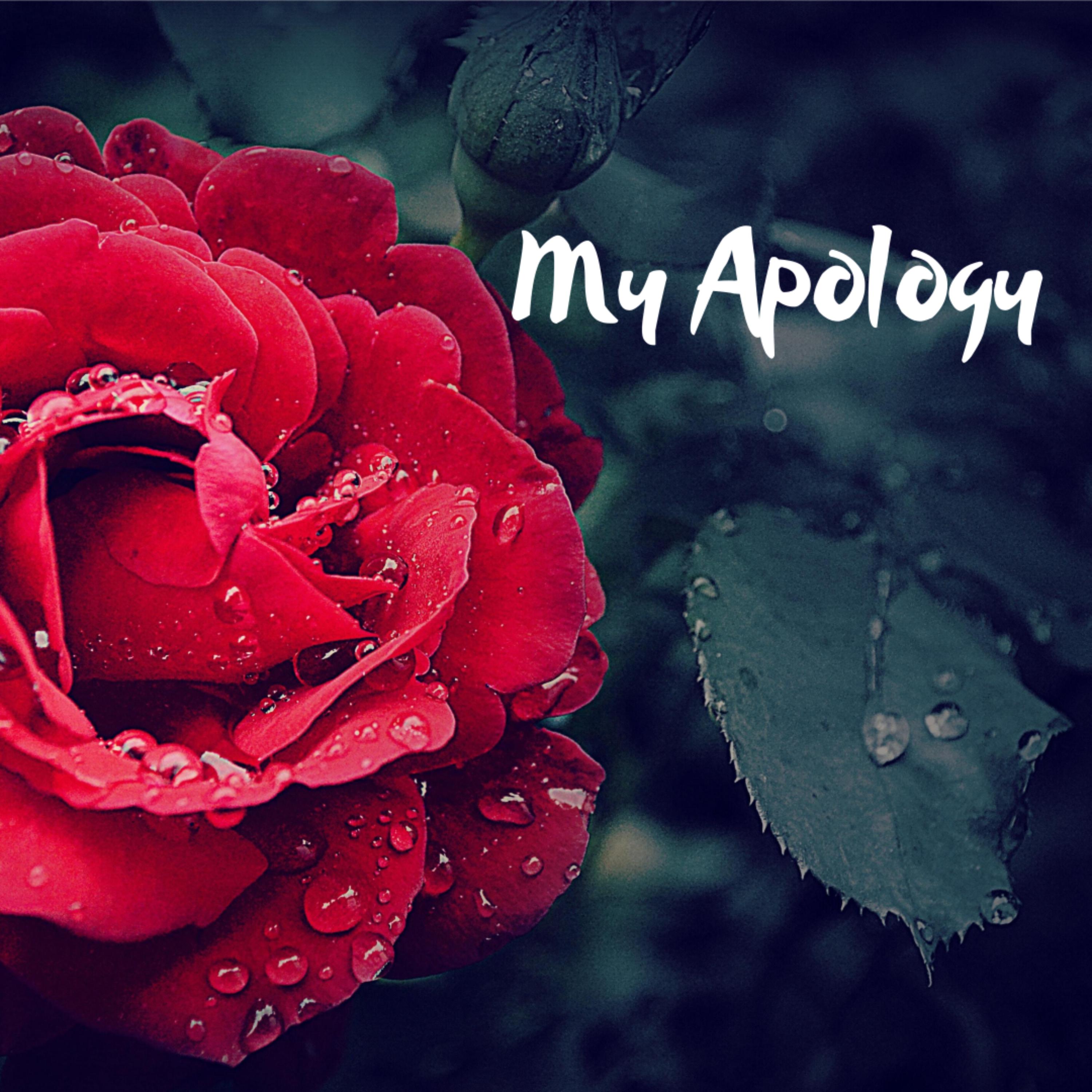 My Apology artwork