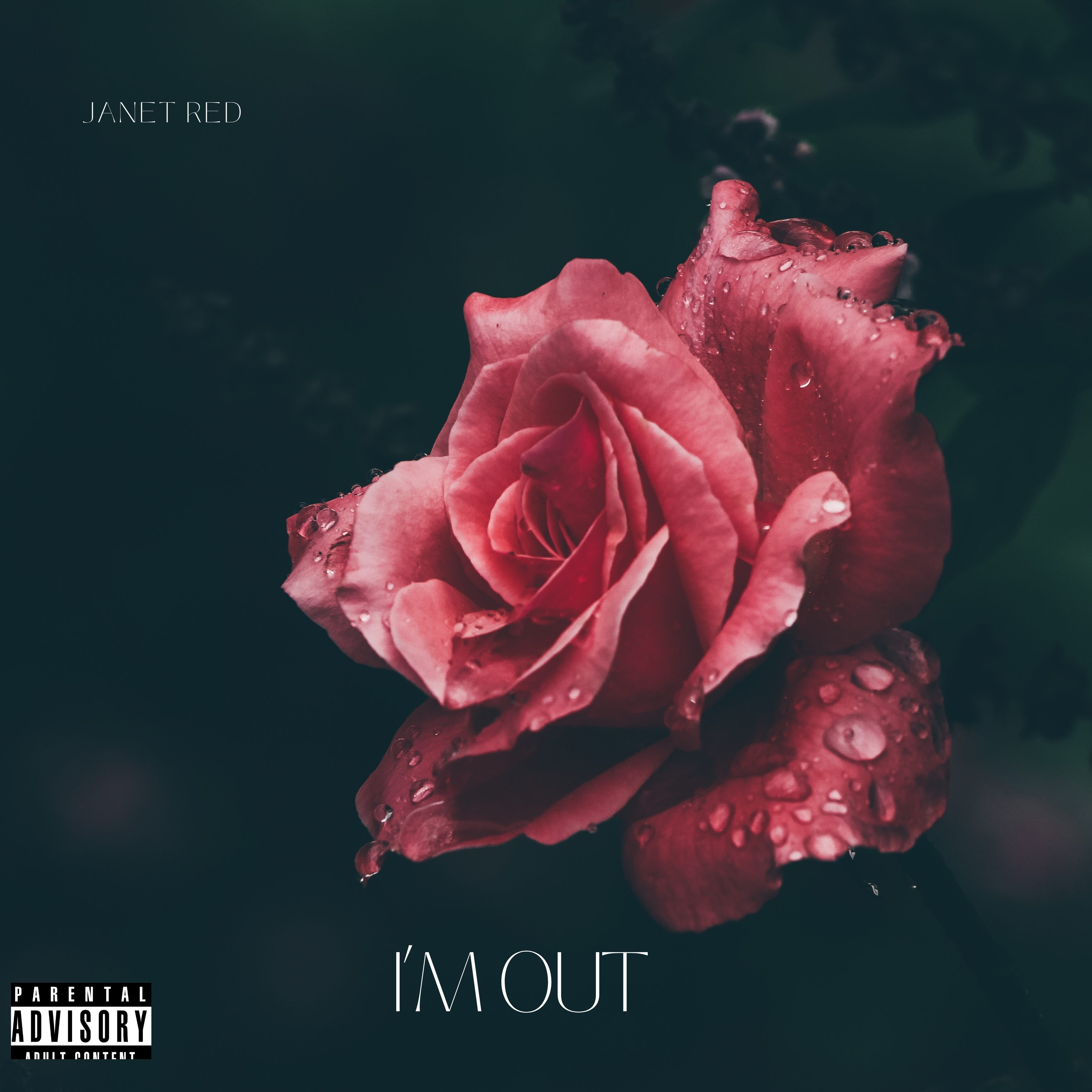 Im Out artwork