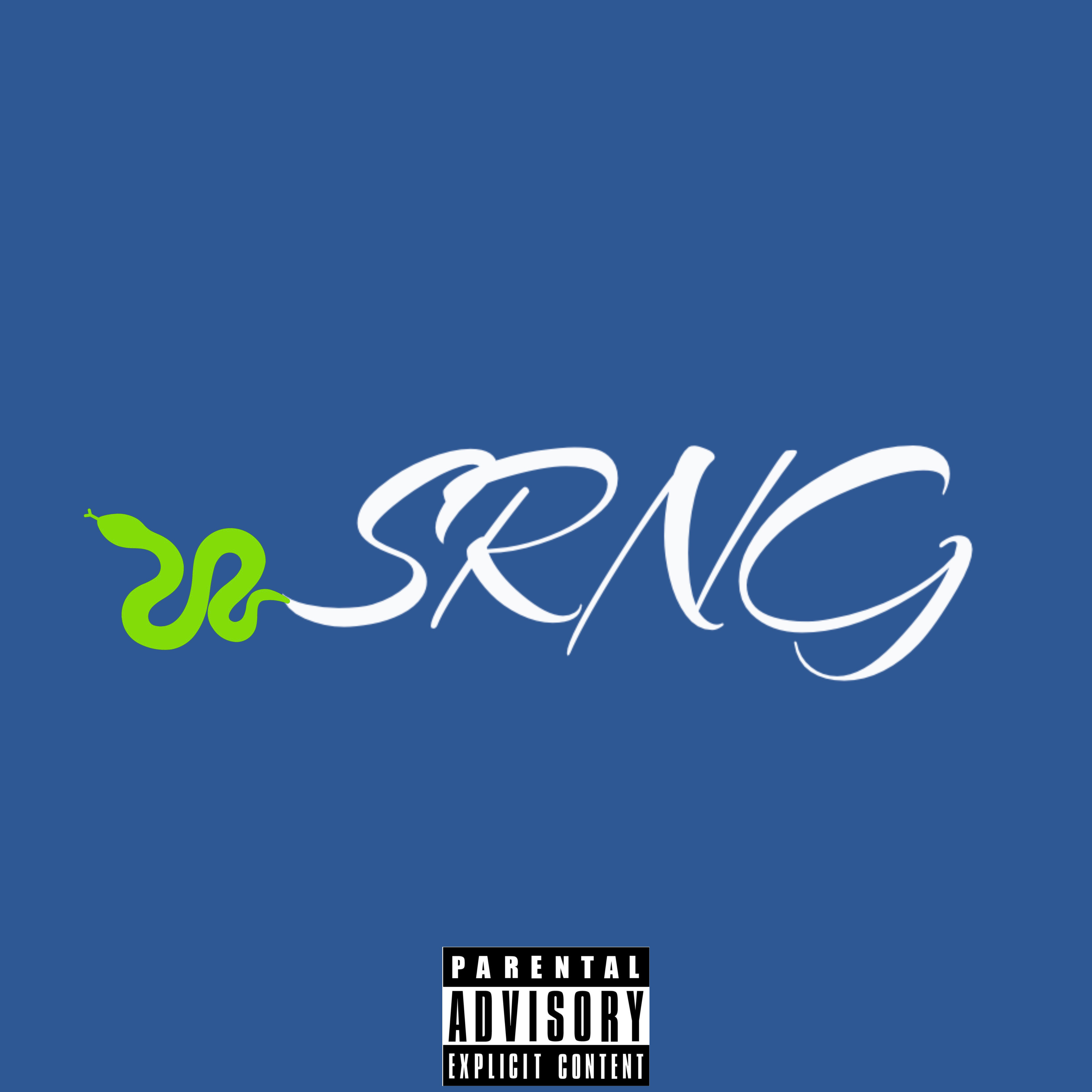 SRNG artwork