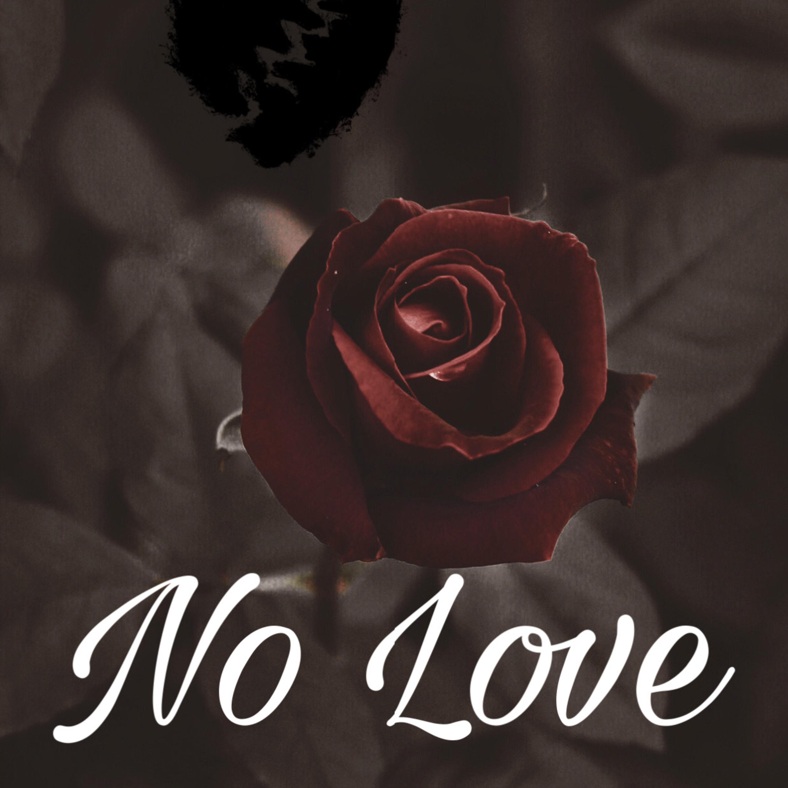No Love artwork