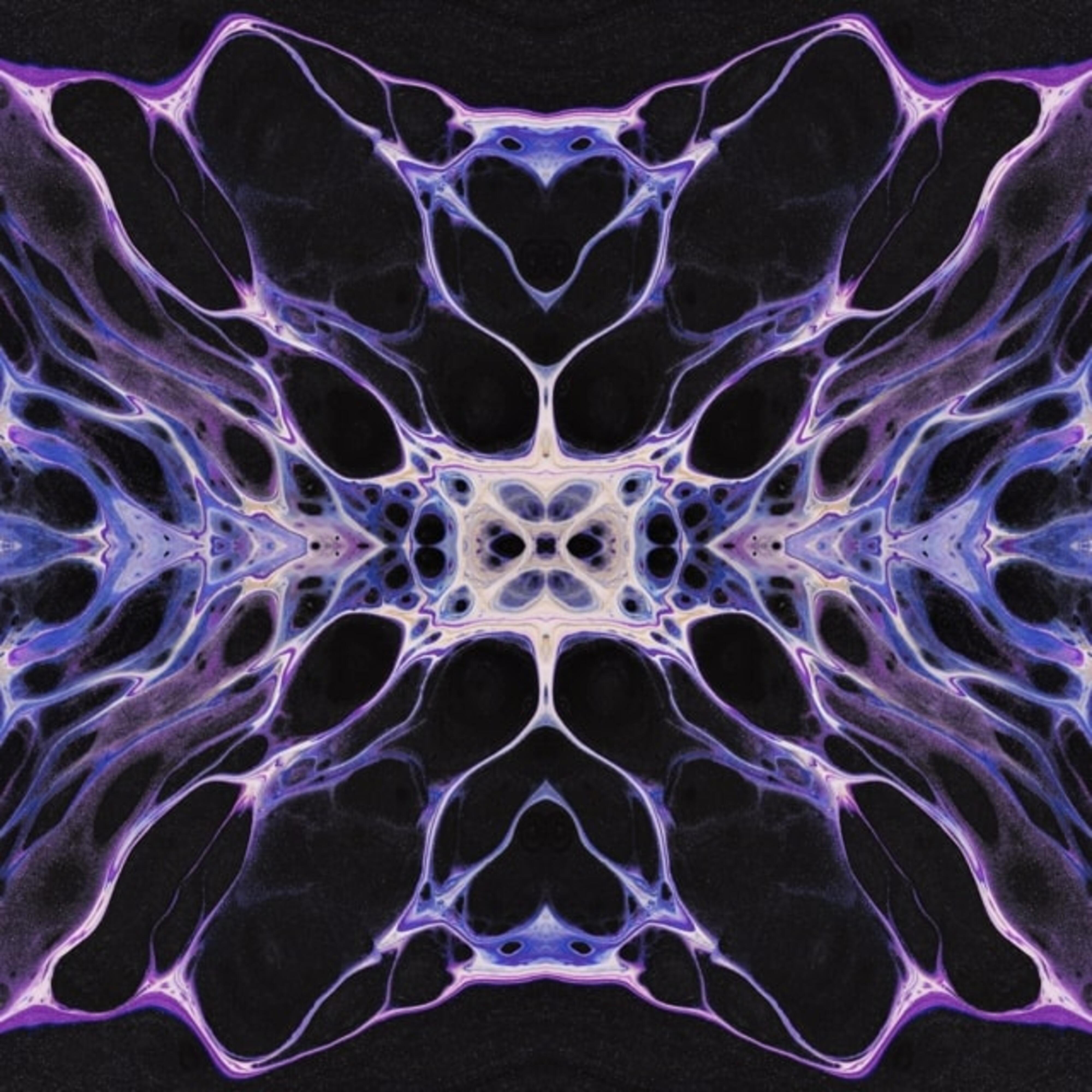 The Simulation artwork