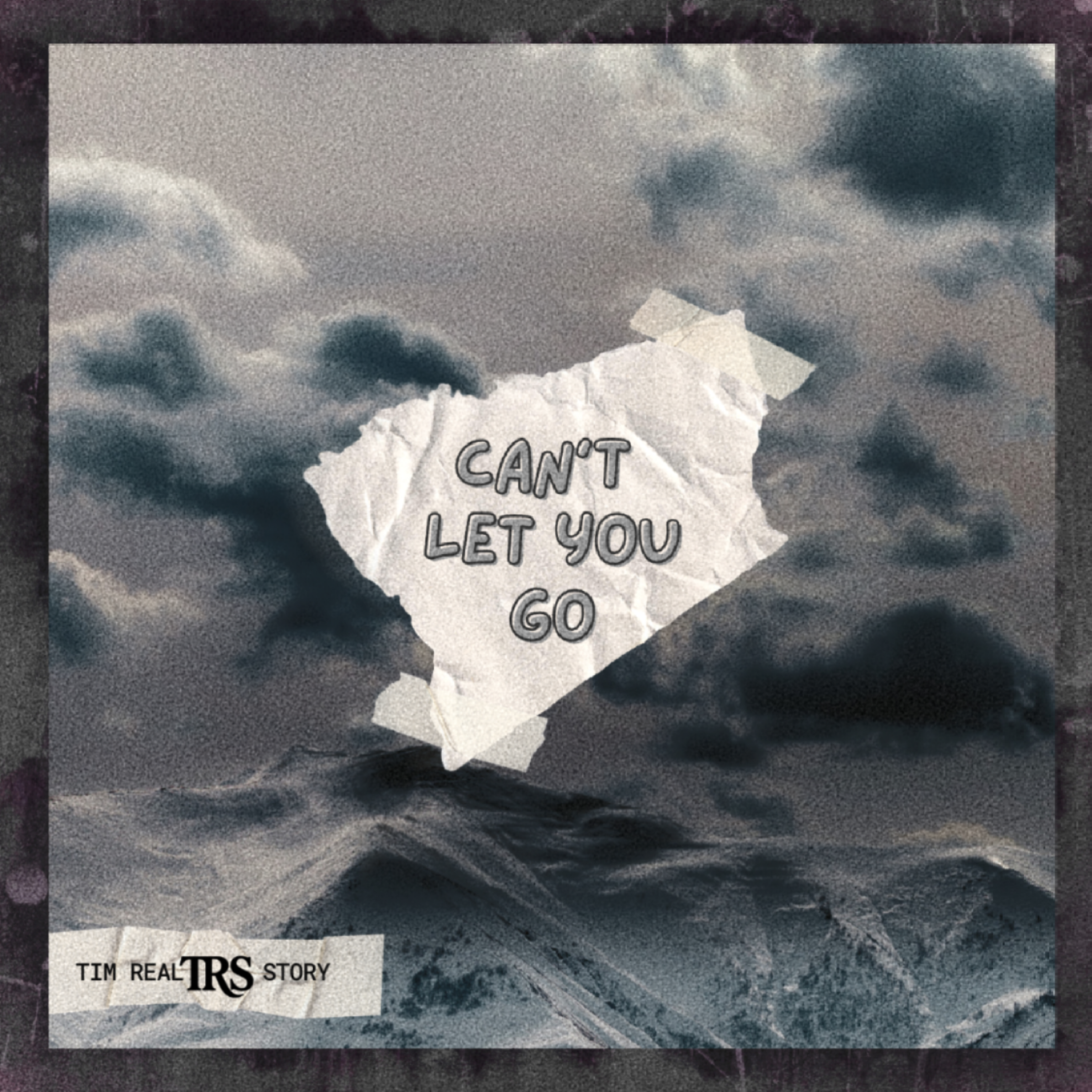 Can’t Let You Go by Tim Real Story cover art