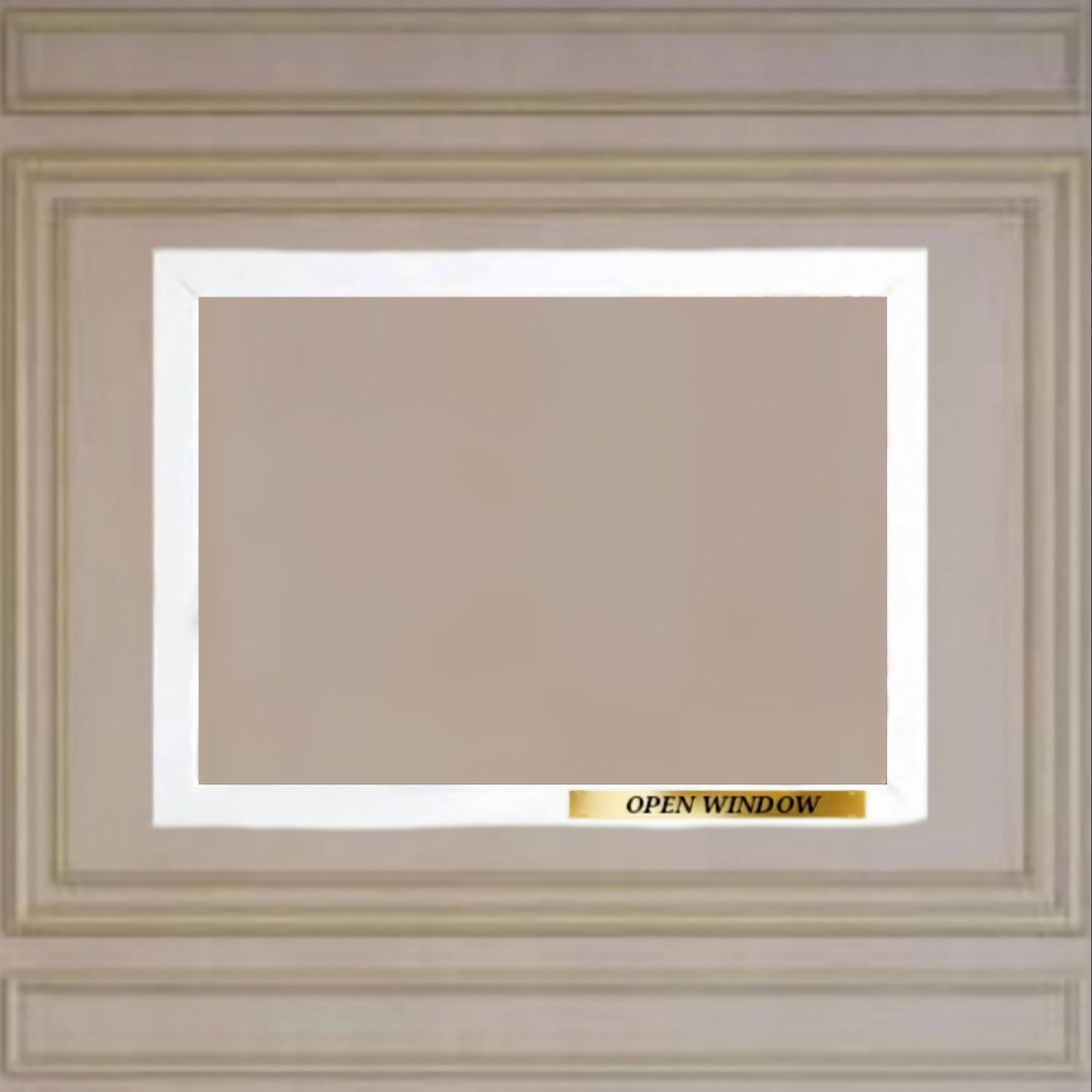 Open Window by Gaemul cover art
