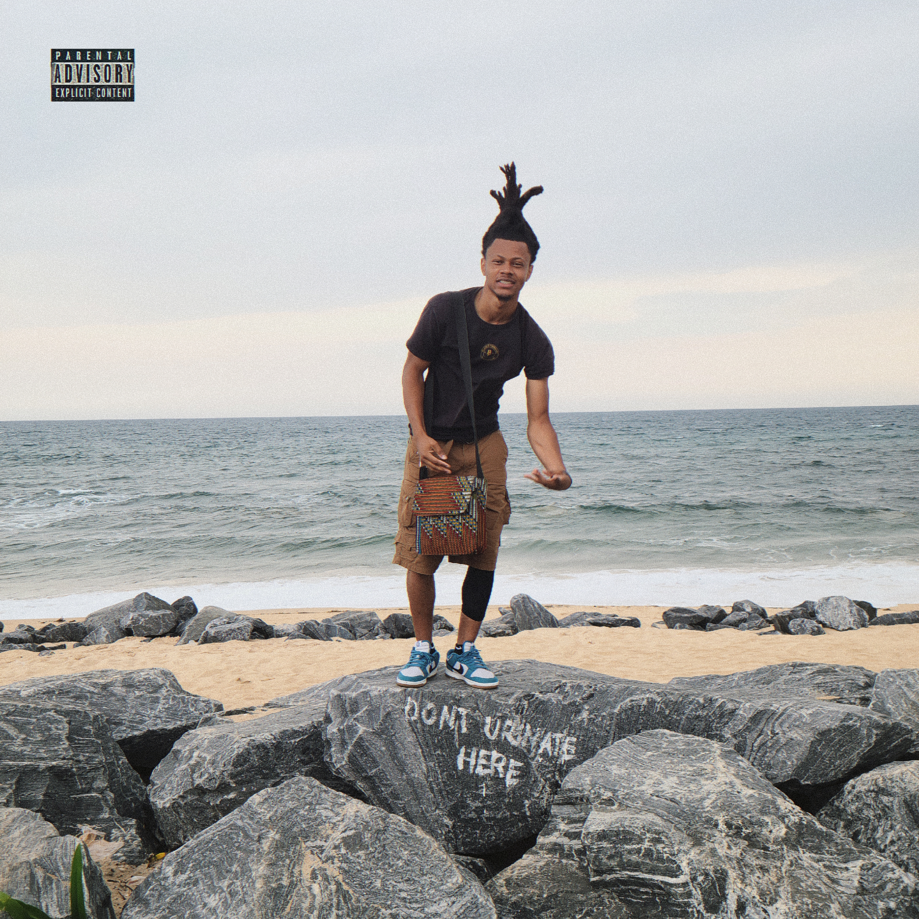 anticipate artwork