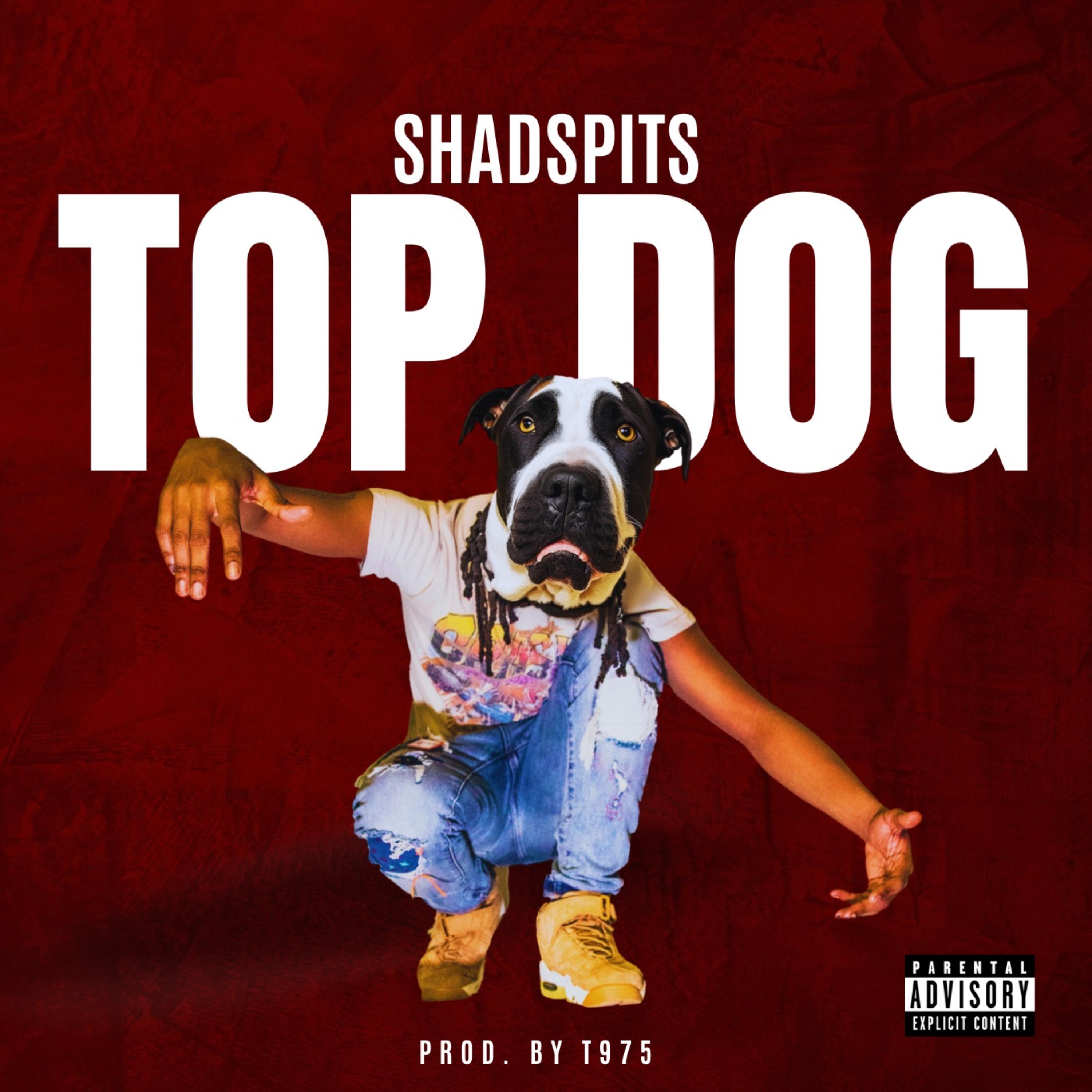 TOP DOG artwork
