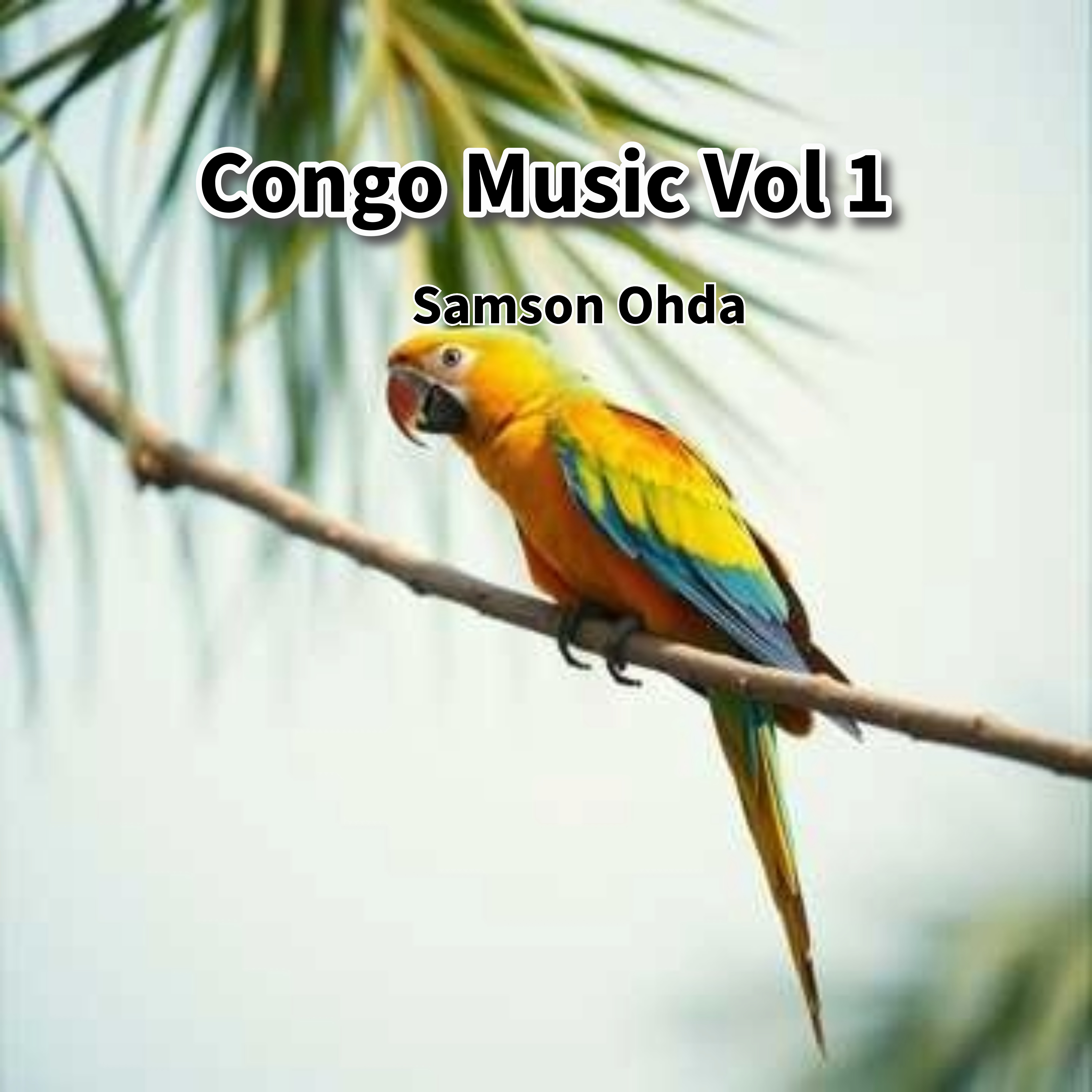 Congo Music Vol 1 Album artwork