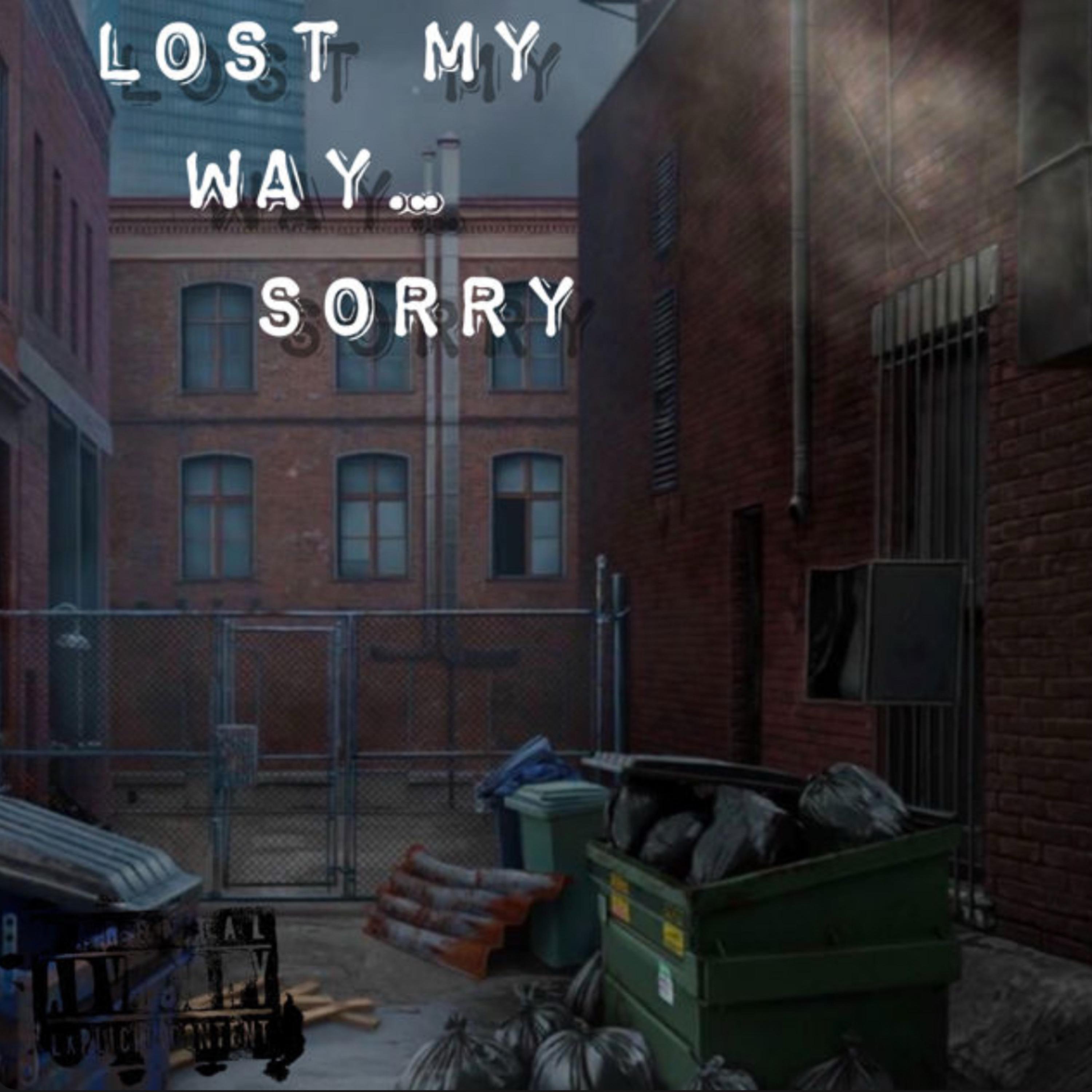Lost My Way Sorry artwork
