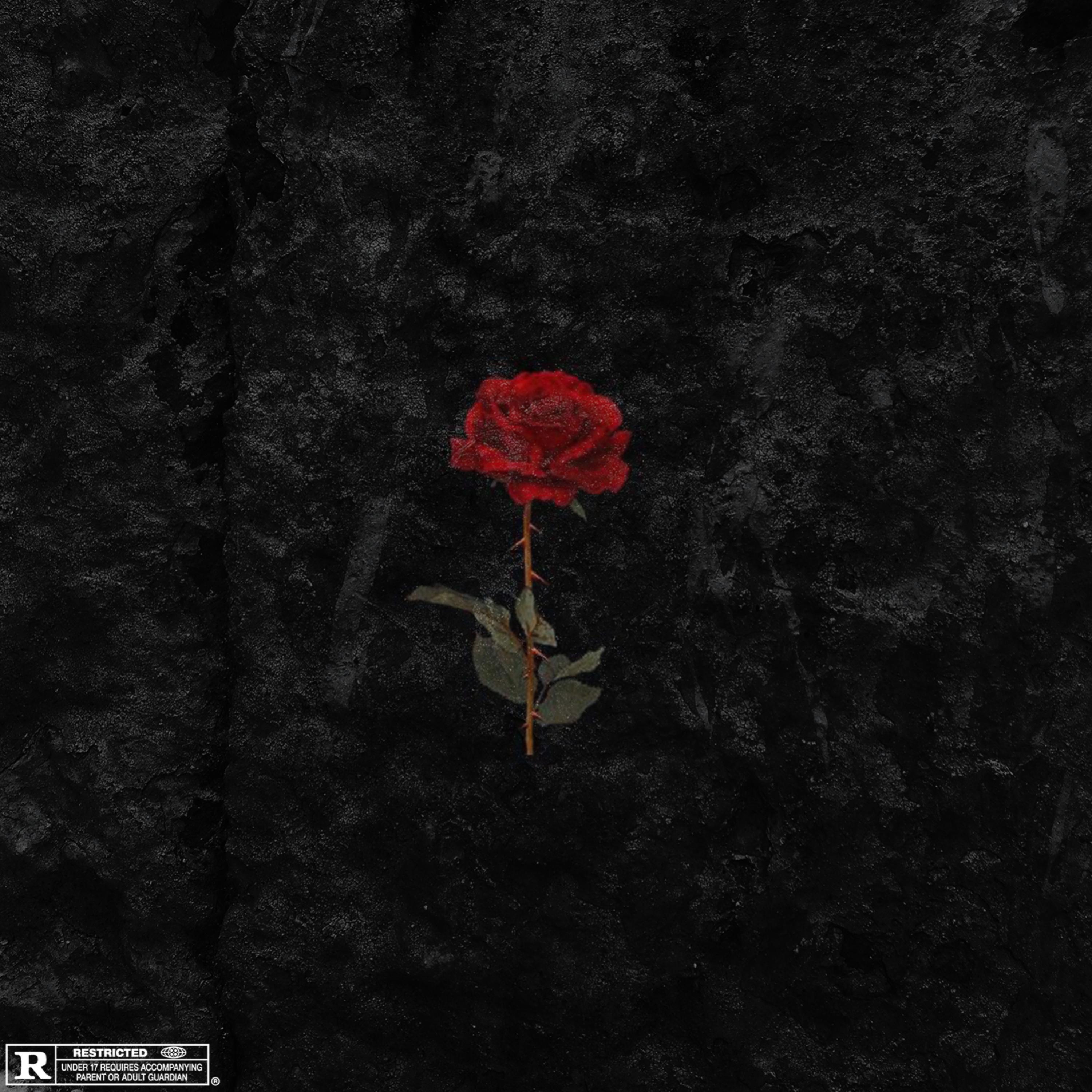 Yung Ace Mula artwork