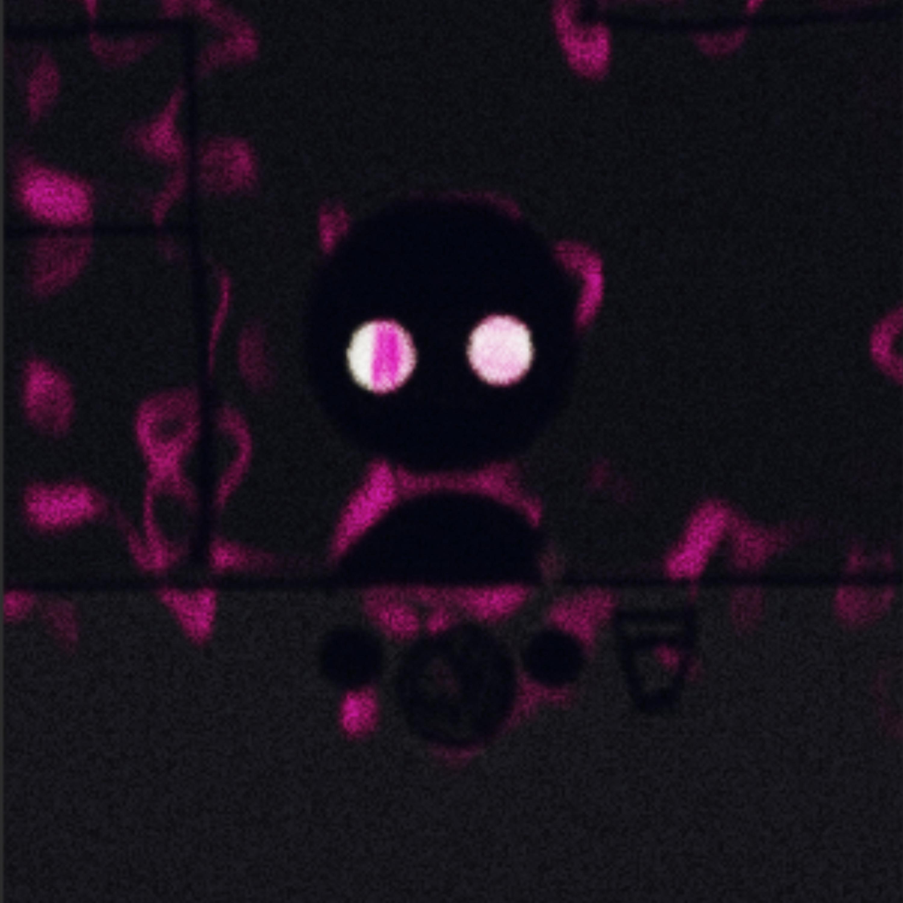 Dont Love Living In The Pass artwork