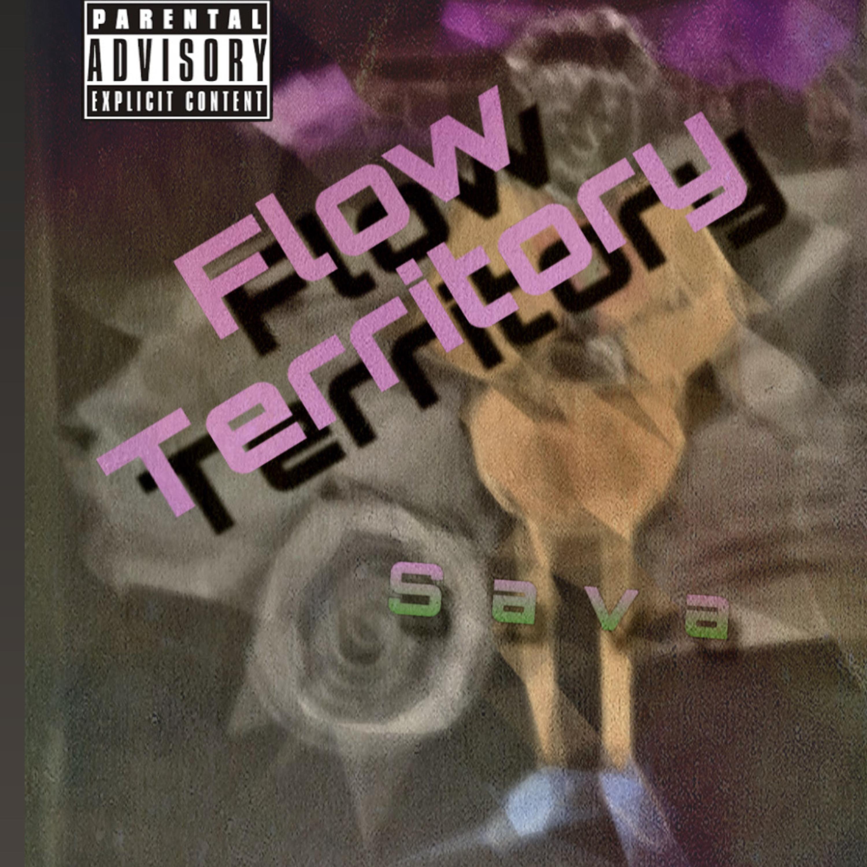 Flow Territory by Sava cover art