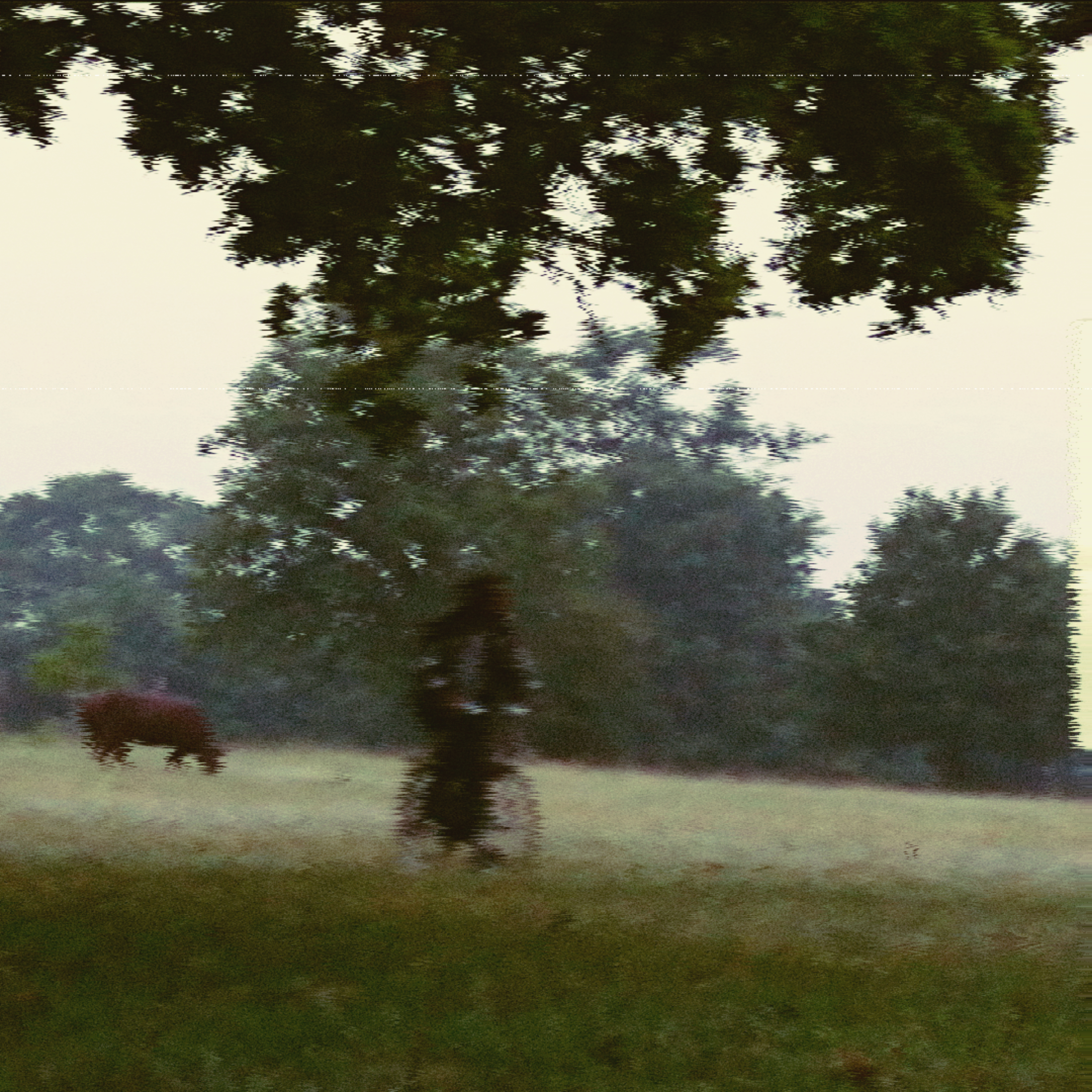 three alpha yankee ! artwork