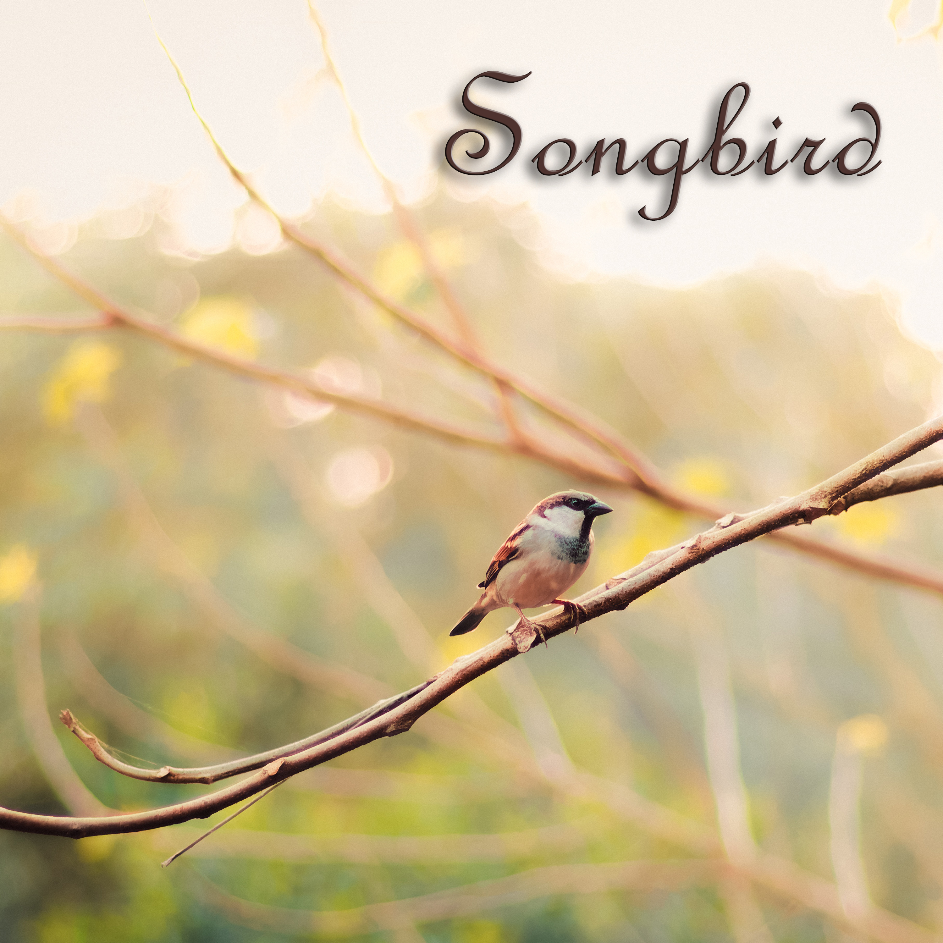 songbird by Eugenia Lofi cover art