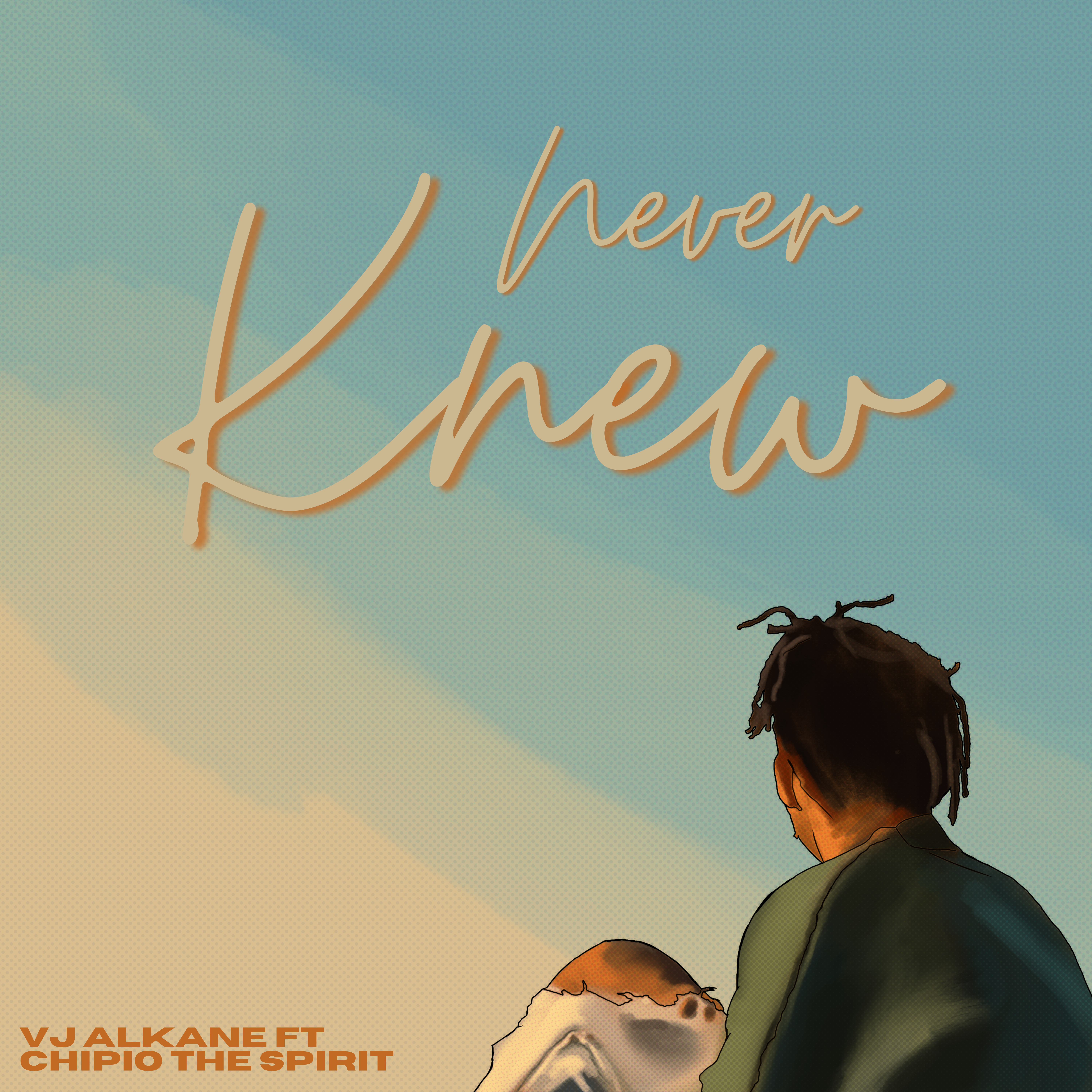 Never Knew artwork