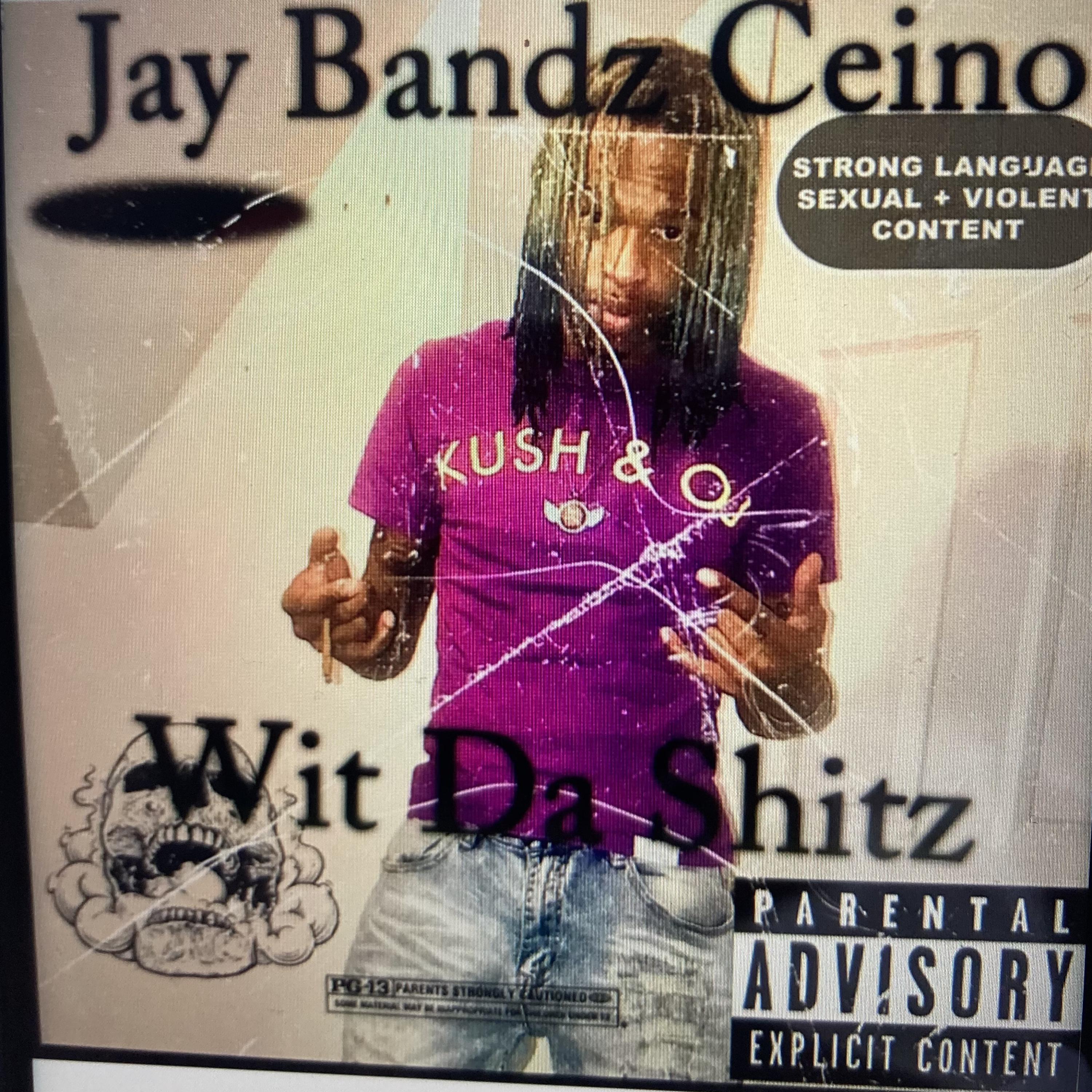 Wit Da Shitz artwork