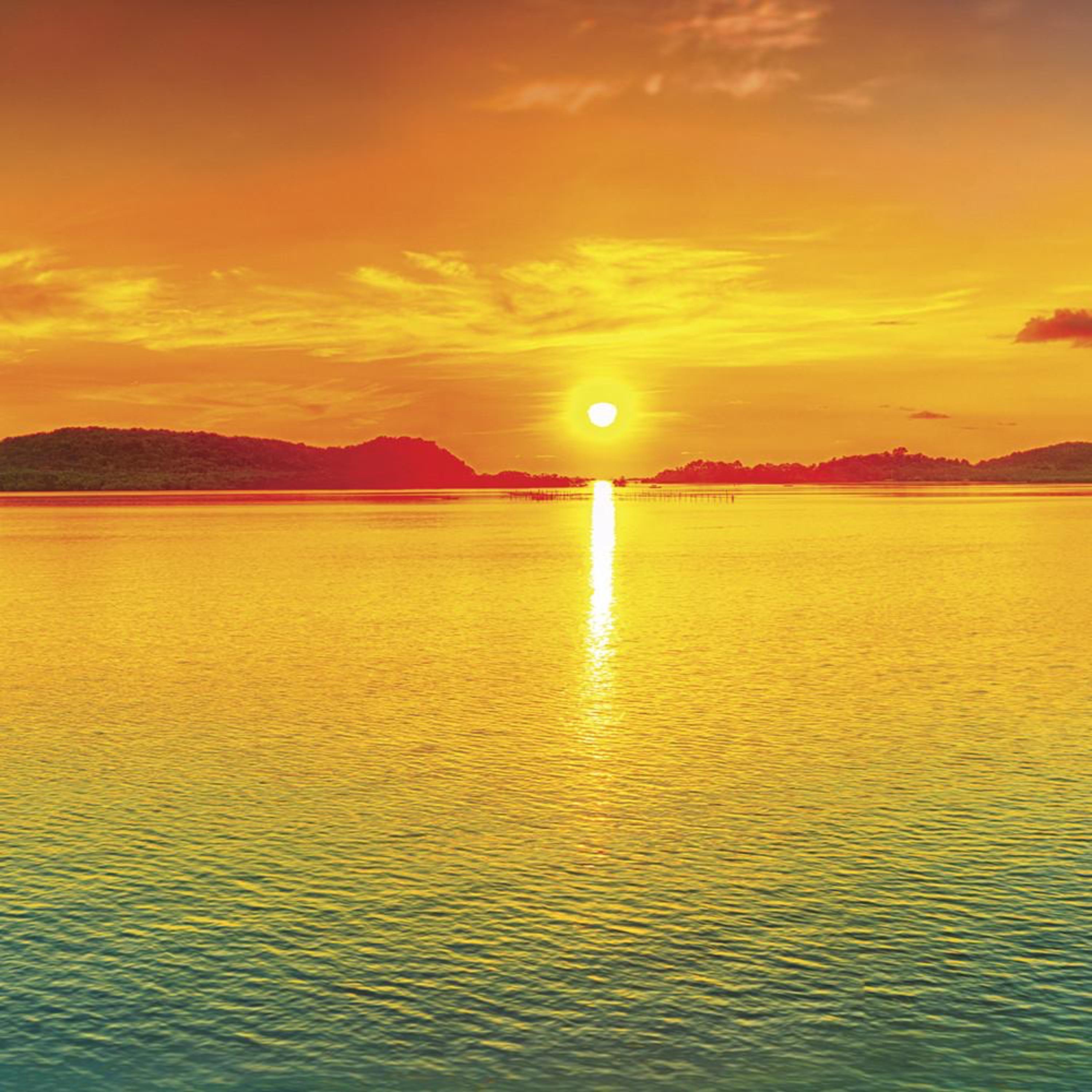 Under The Dong artwork