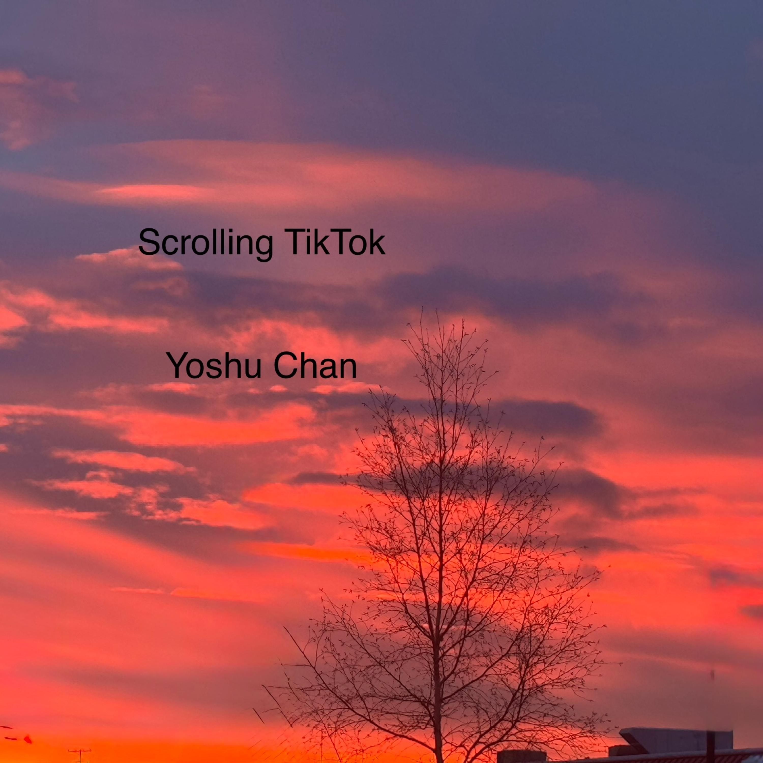 Scrolling Tik Tok artwork