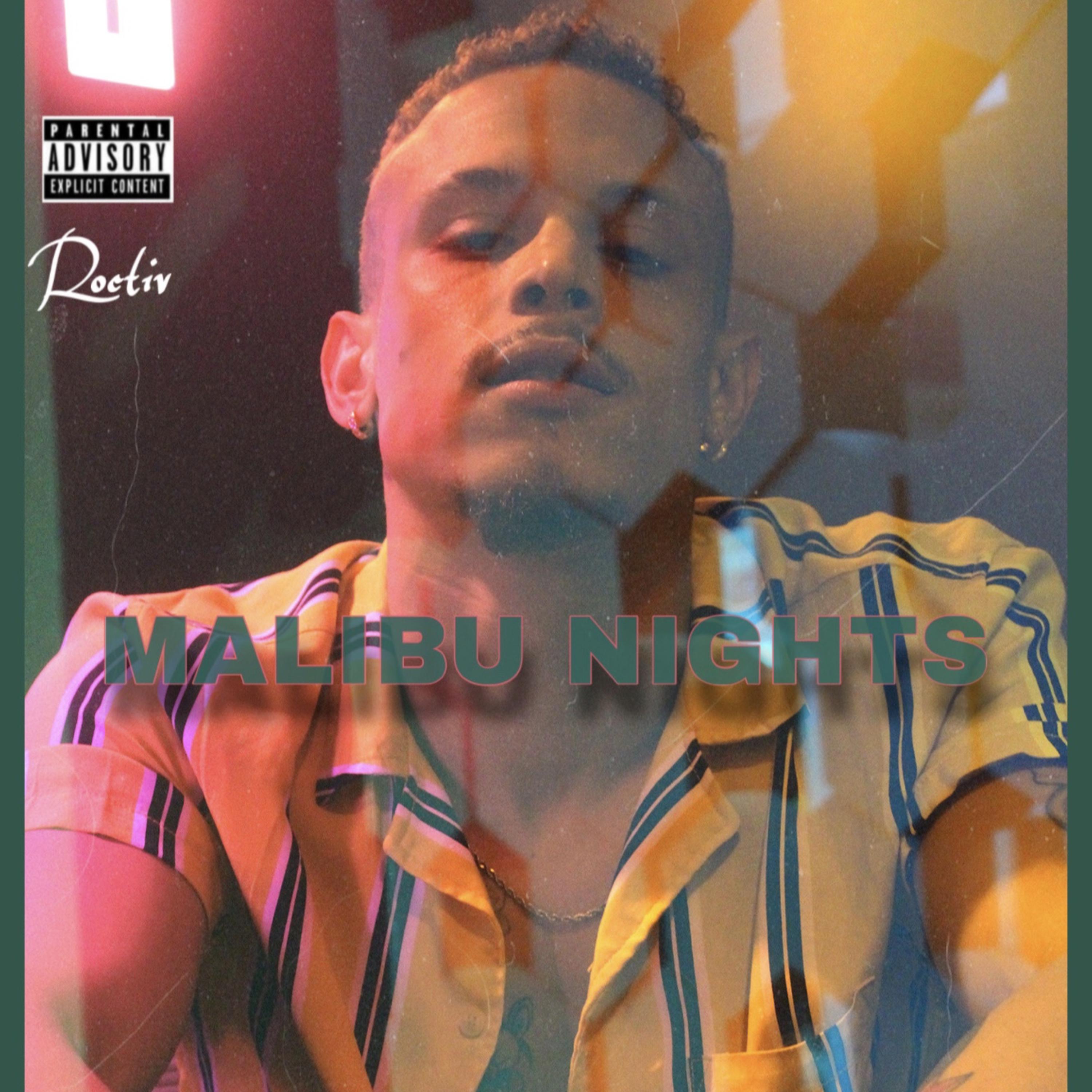 Malibu Nights artwork